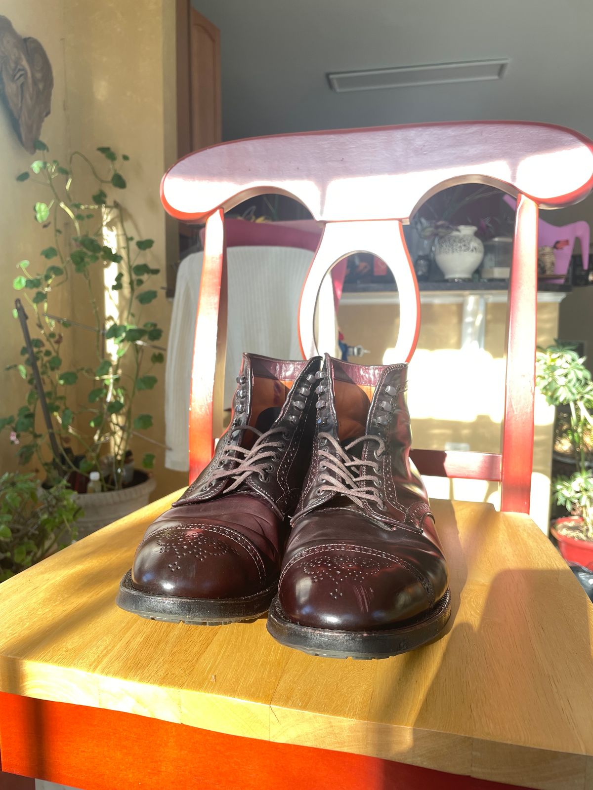 Photo by harshhappens on January 5, 2024 of the Alden Medallion Cap Toe Boot in Horween Color 8 Shell Cordovan.