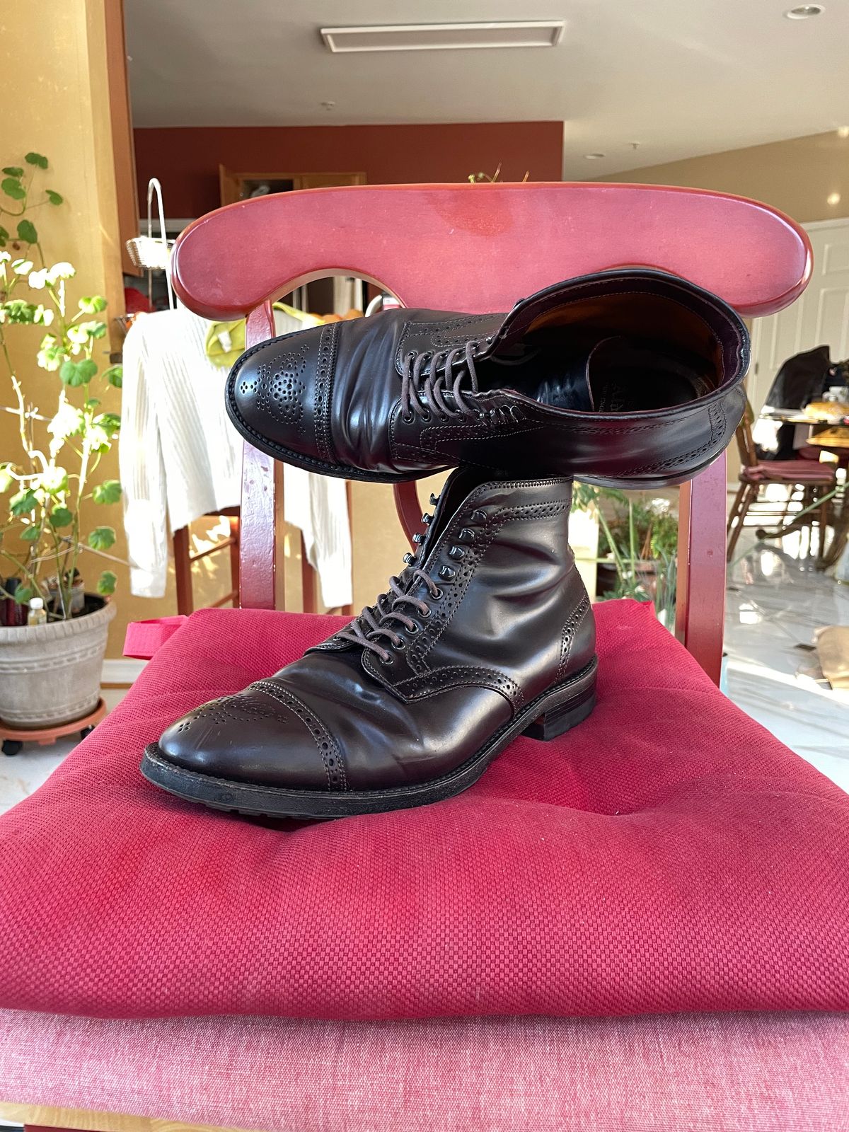 Photo by harshhappens on February 5, 2024 of the Alden Medallion Cap Toe Boot in Horween Color 8 Shell Cordovan.