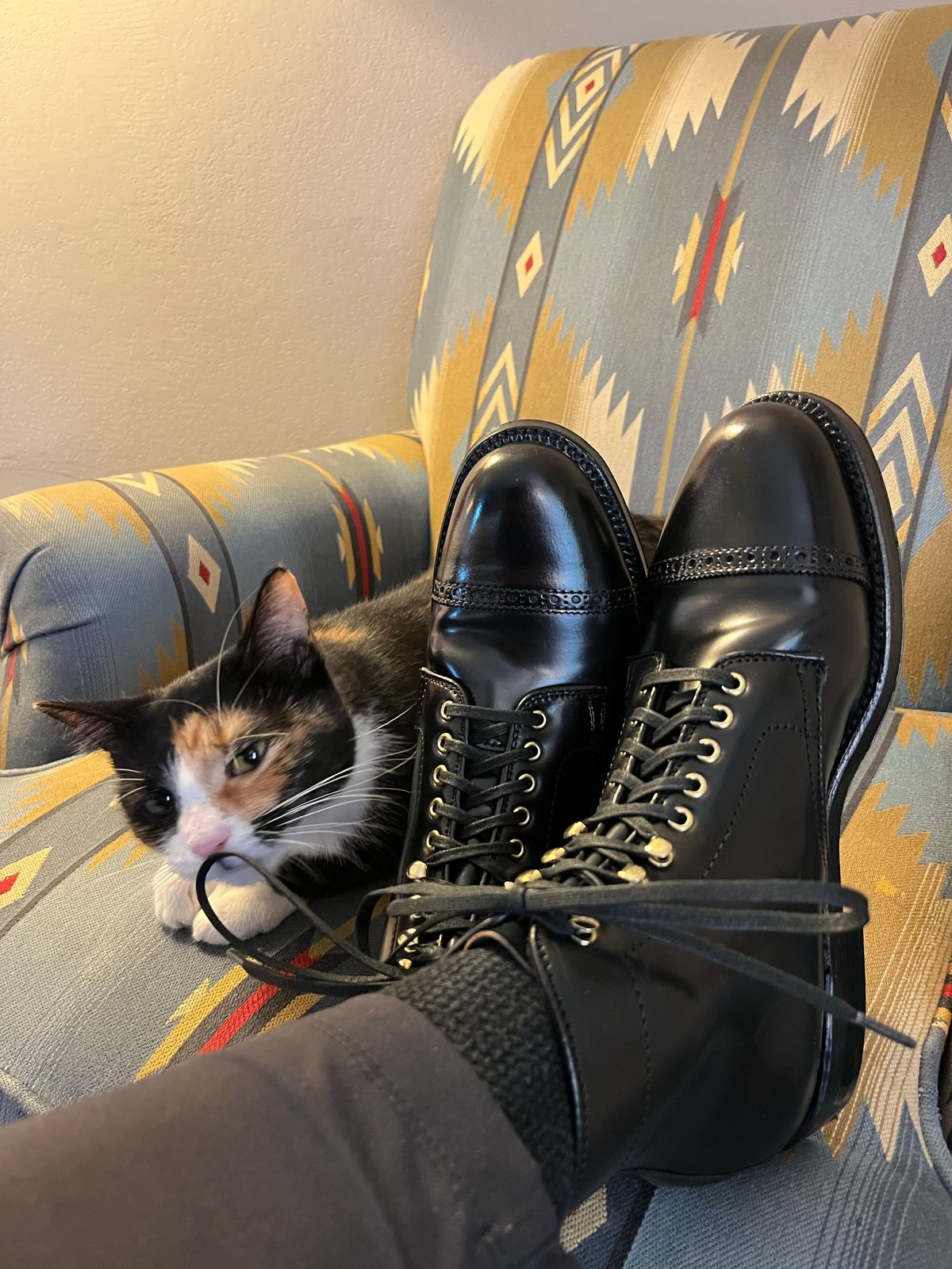 Photo by whippoorwill on October 1, 2022 of the Alden Perforated Cap Toe Boot in Horween Black Shell Cordovan.