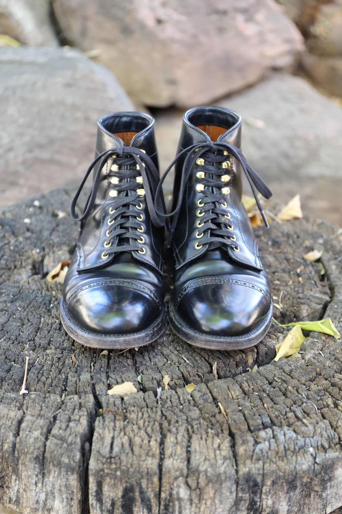 Photo by whippoorwill on November 1, 2022 of the Alden Perforated Cap Toe Boot in Horween Black Shell Cordovan.