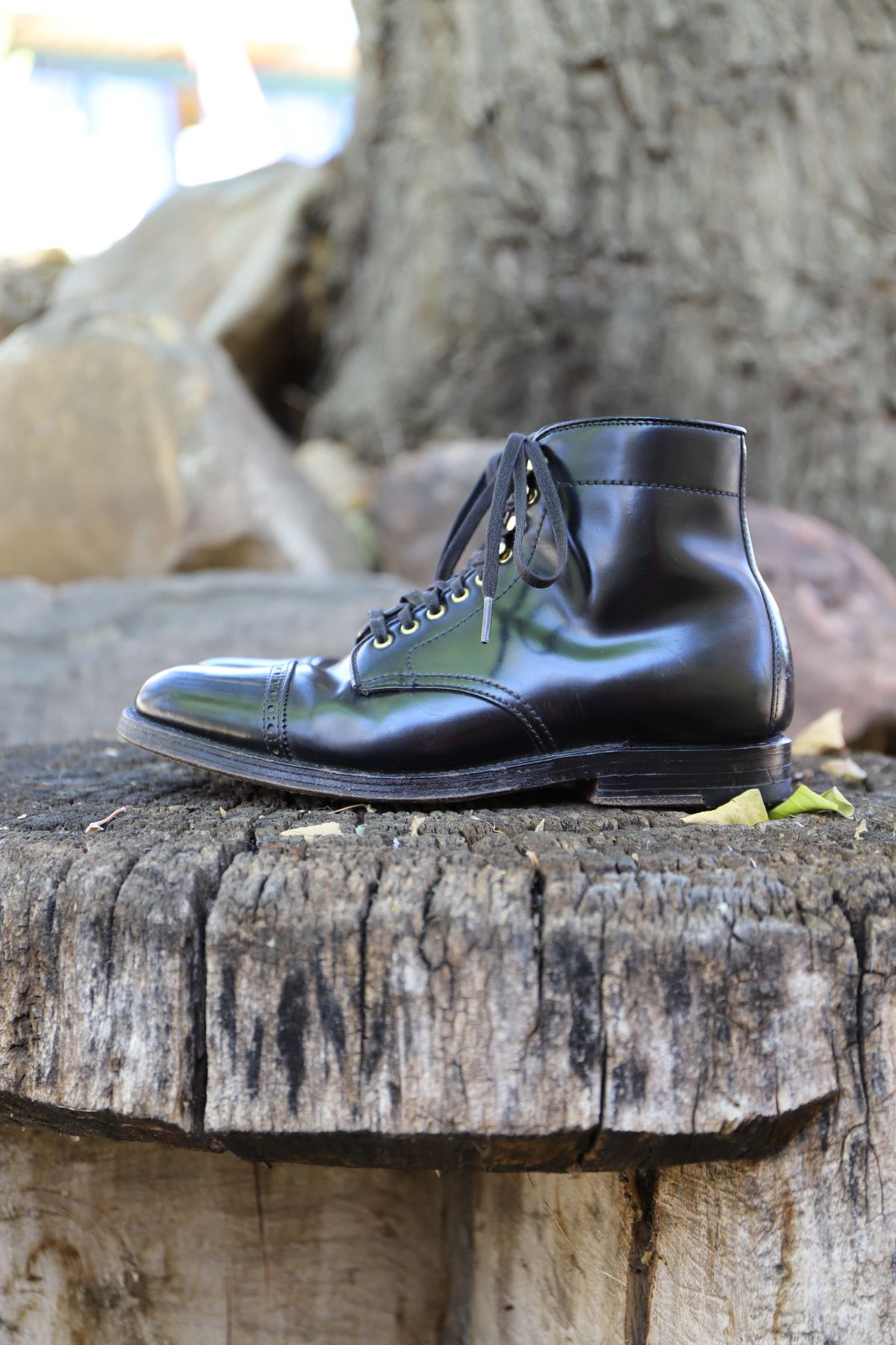 Photo by whippoorwill on November 1, 2022 of the Alden Perforated Cap Toe Boot in Horween Black Shell Cordovan.
