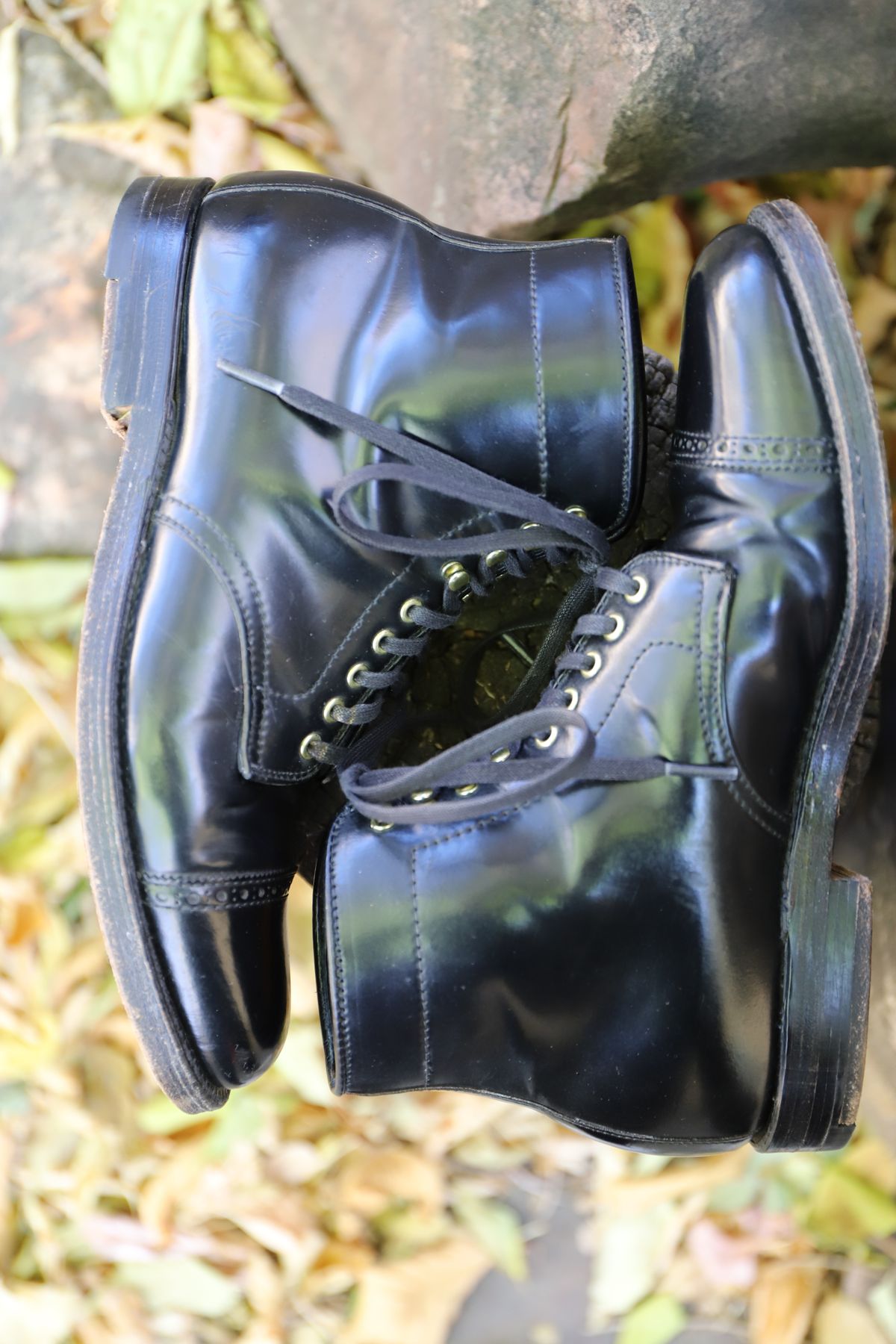 Photo by whippoorwill on November 1, 2022 of the Alden Perforated Cap Toe Boot in Horween Black Shell Cordovan.