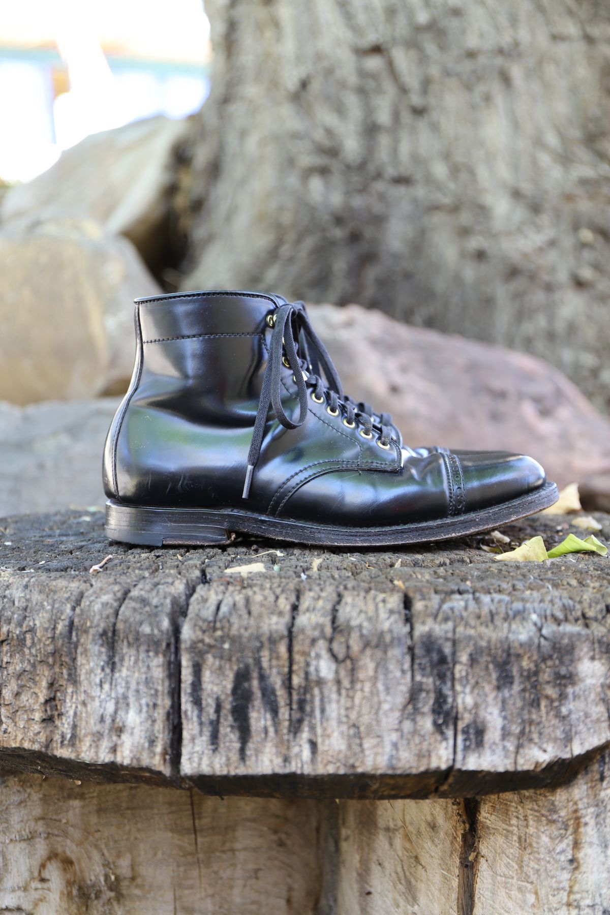 Photo by whippoorwill on November 1, 2022 of the Alden Perforated Cap Toe Boot in Horween Black Shell Cordovan.