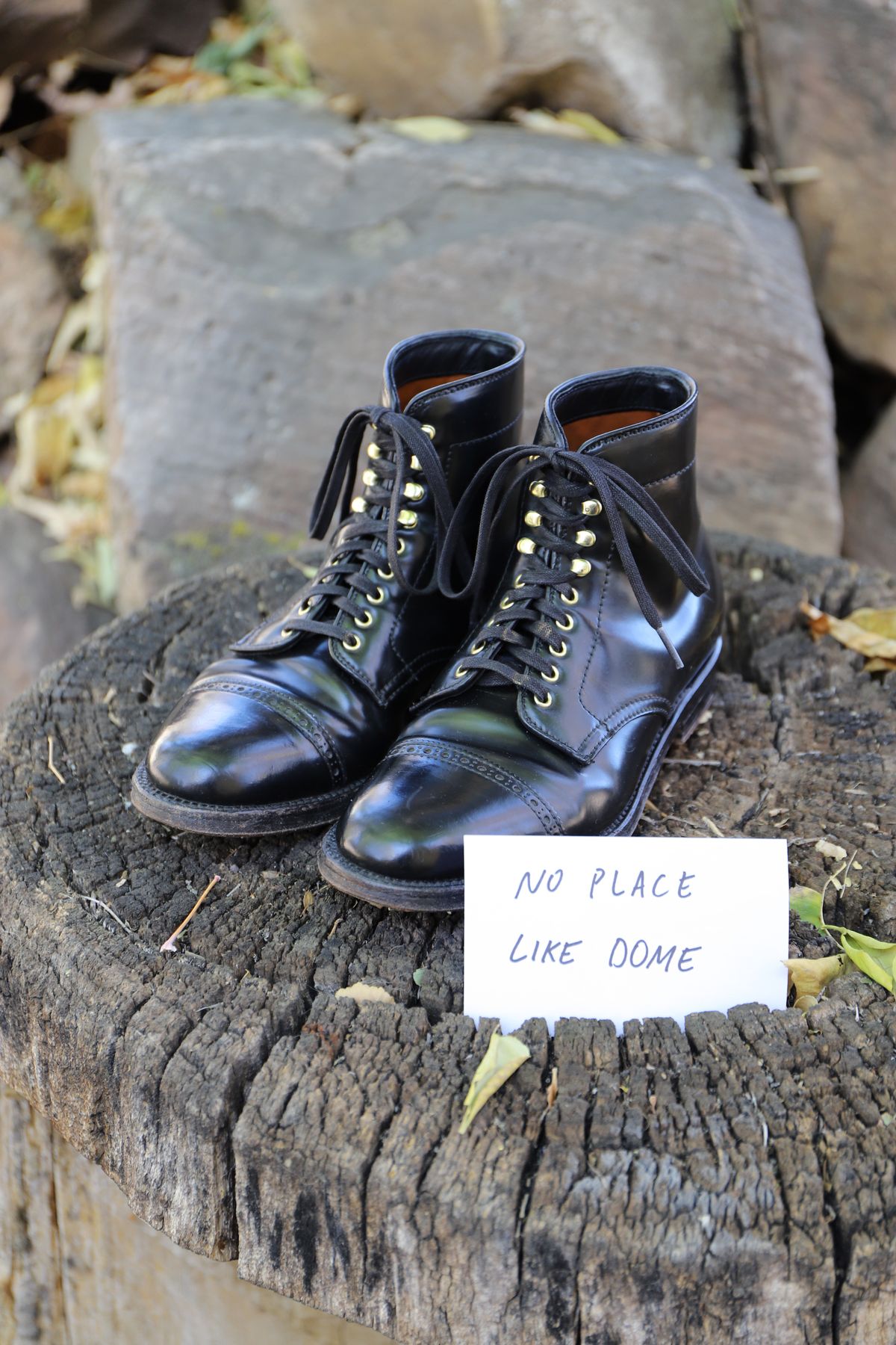 Photo by whippoorwill on November 1, 2022 of the Alden Perforated Cap Toe Boot in Horween Black Shell Cordovan.