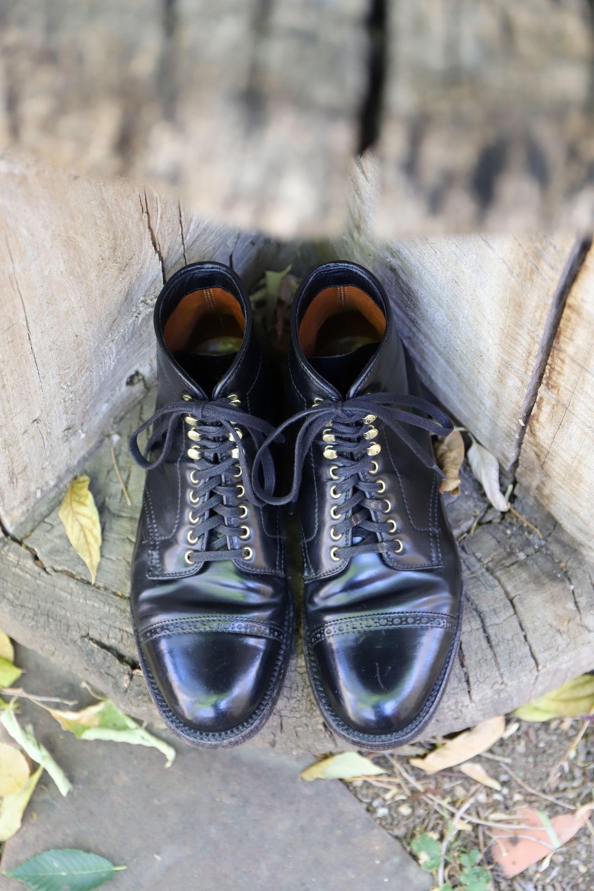 Photo by whippoorwill on November 1, 2022 of the Alden Perforated Cap Toe Boot in Horween Black Shell Cordovan.