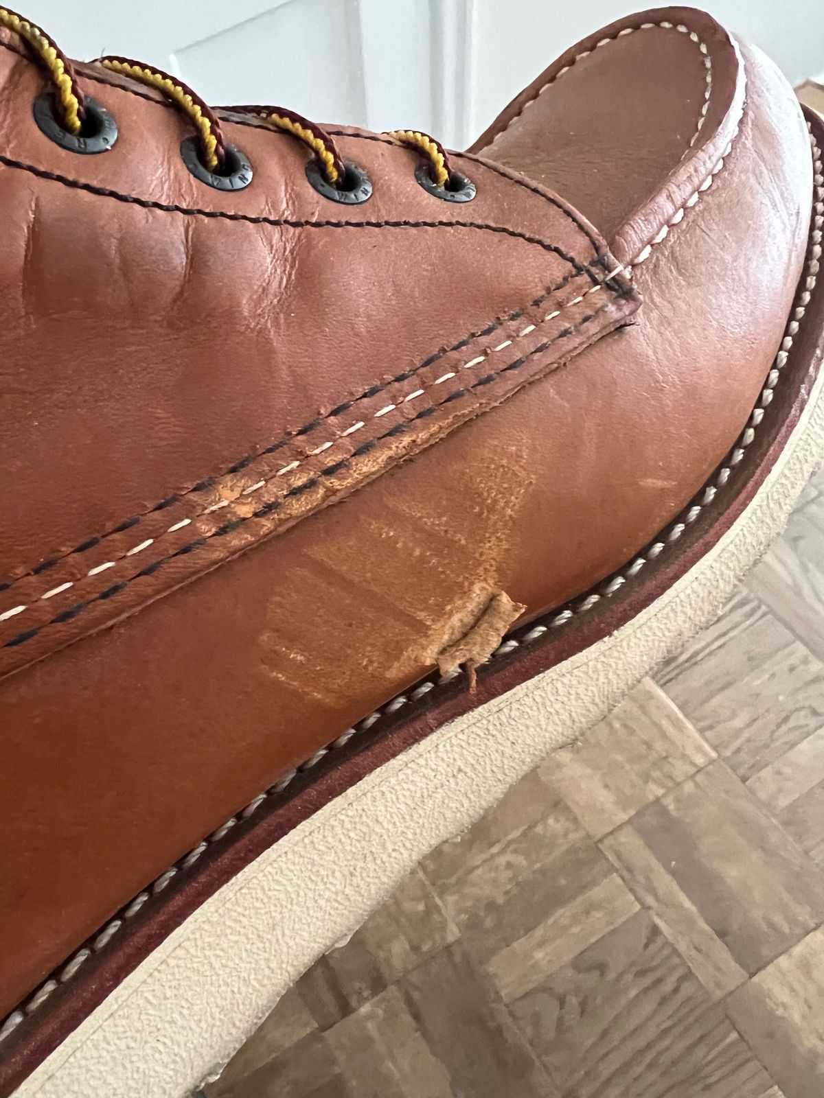 Photo by kase on November 11, 2023 of the Red Wing 8-Inch Classic Moc in S.B. Foot Oro-Iginal.