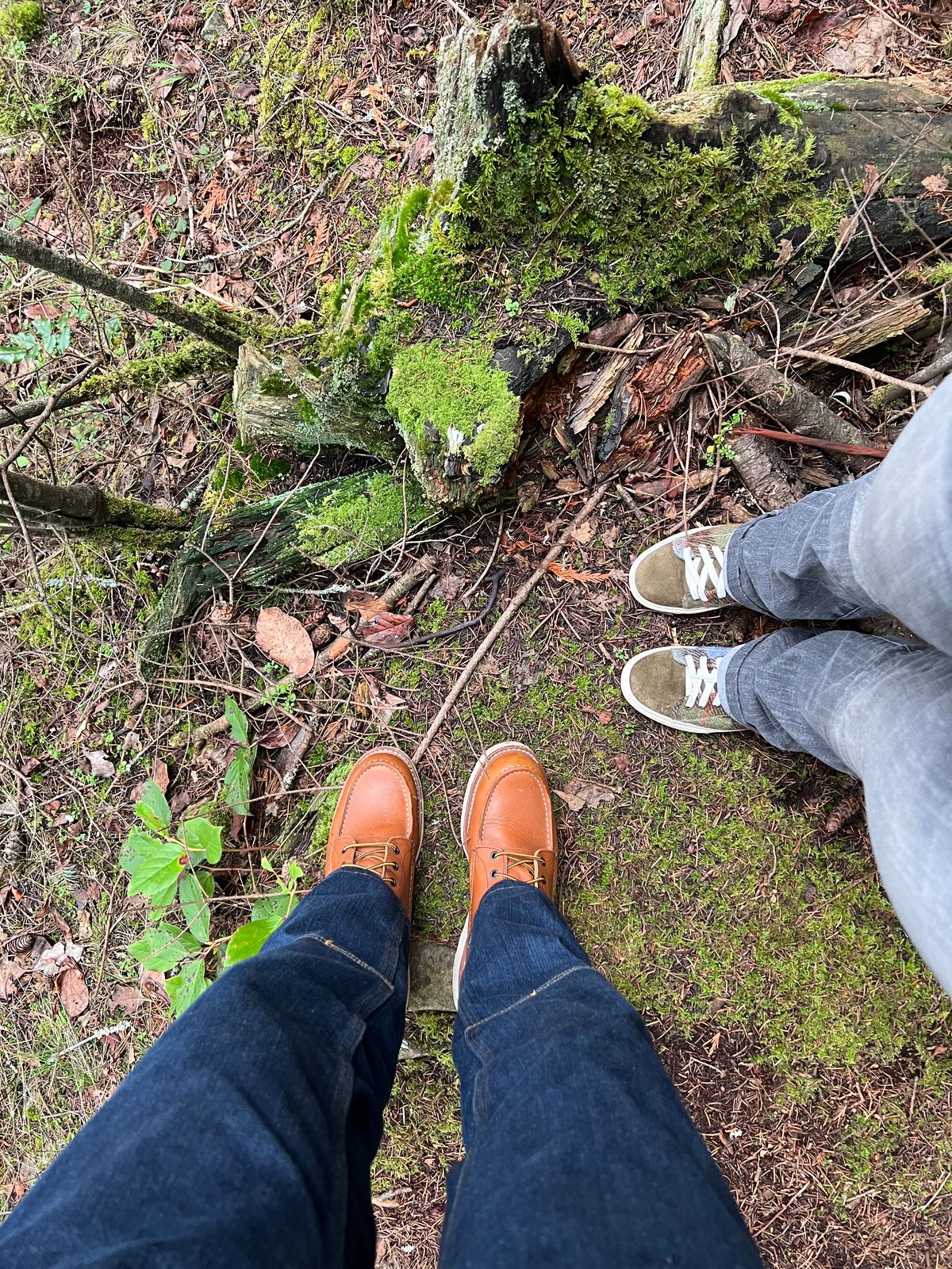 Photo by kase on December 30, 2023 of the Red Wing 8-Inch Classic Moc in S.B. Foot Oro-Iginal.