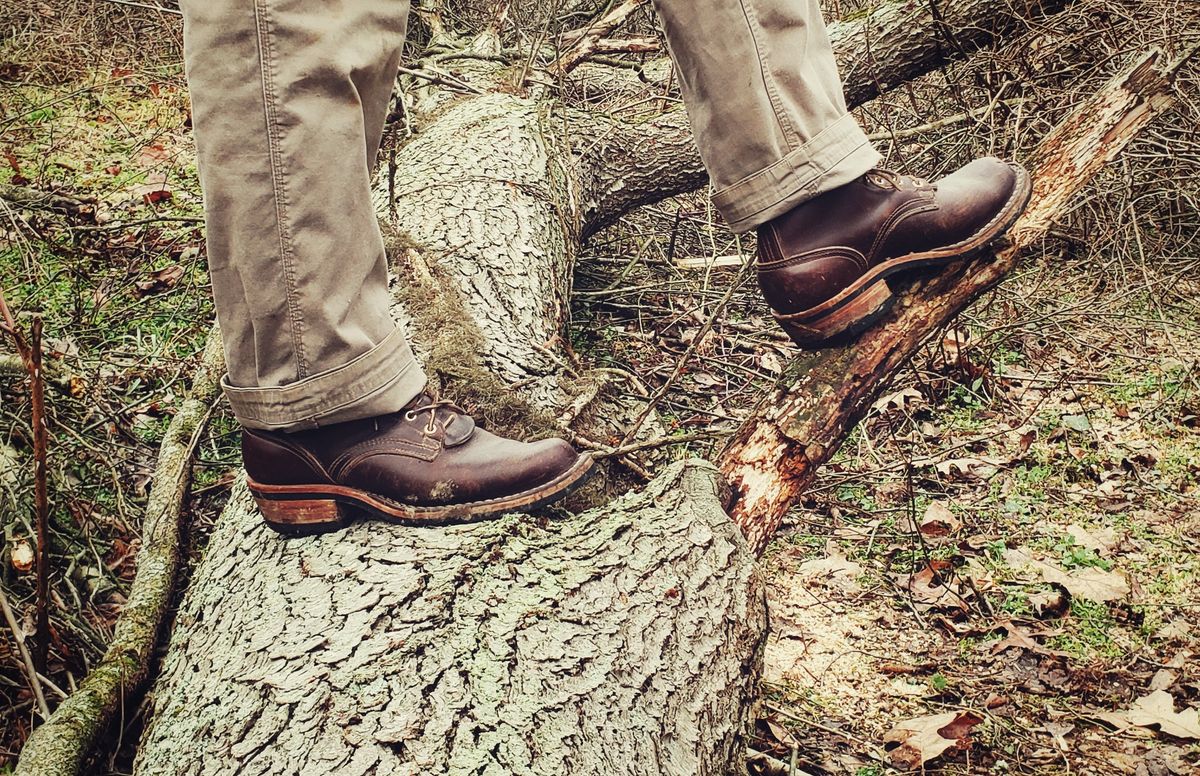 Photo by SamuelO on March 1, 2023 of the Nicks Robert in Horween Brown Chromexcel.