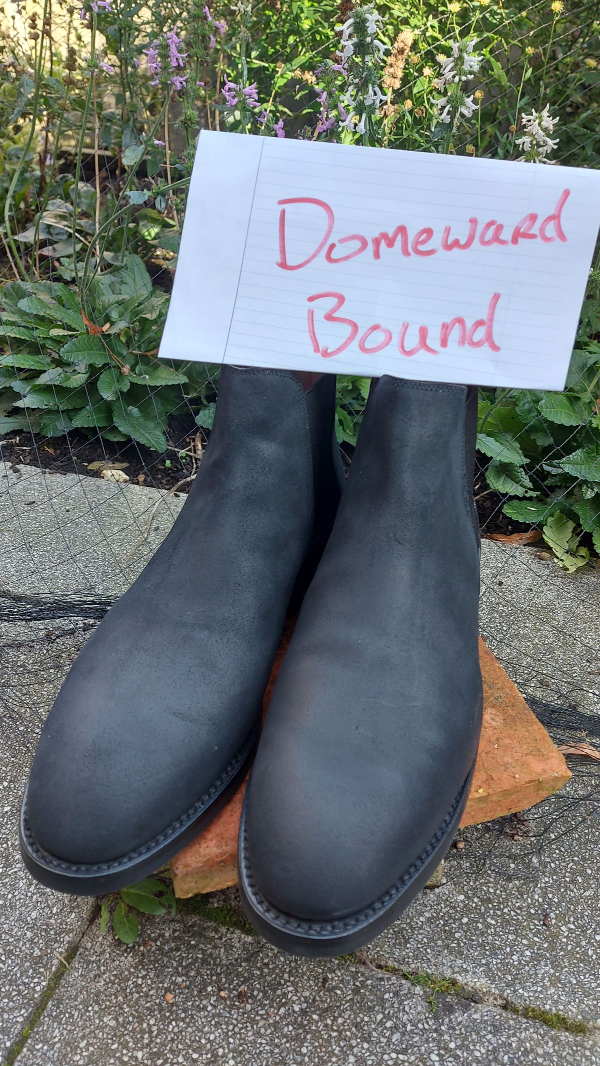 Photo by FightingAnts on October 1, 2023 of the Crockett & Jones Chelsea 5 in Navy Roughout Suede.