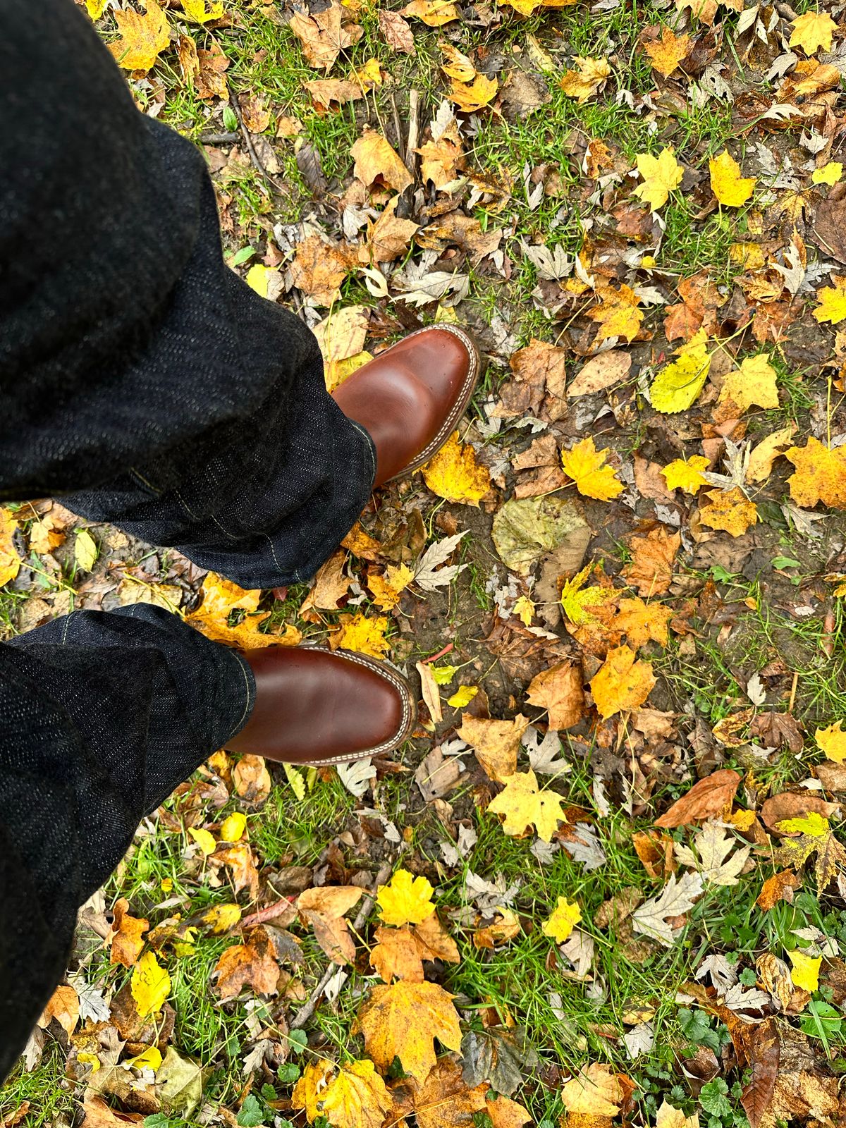 Photo by twg7 on October 31, 2022 of the Wesco Mister Lou in Horween Umber Chromexcel.