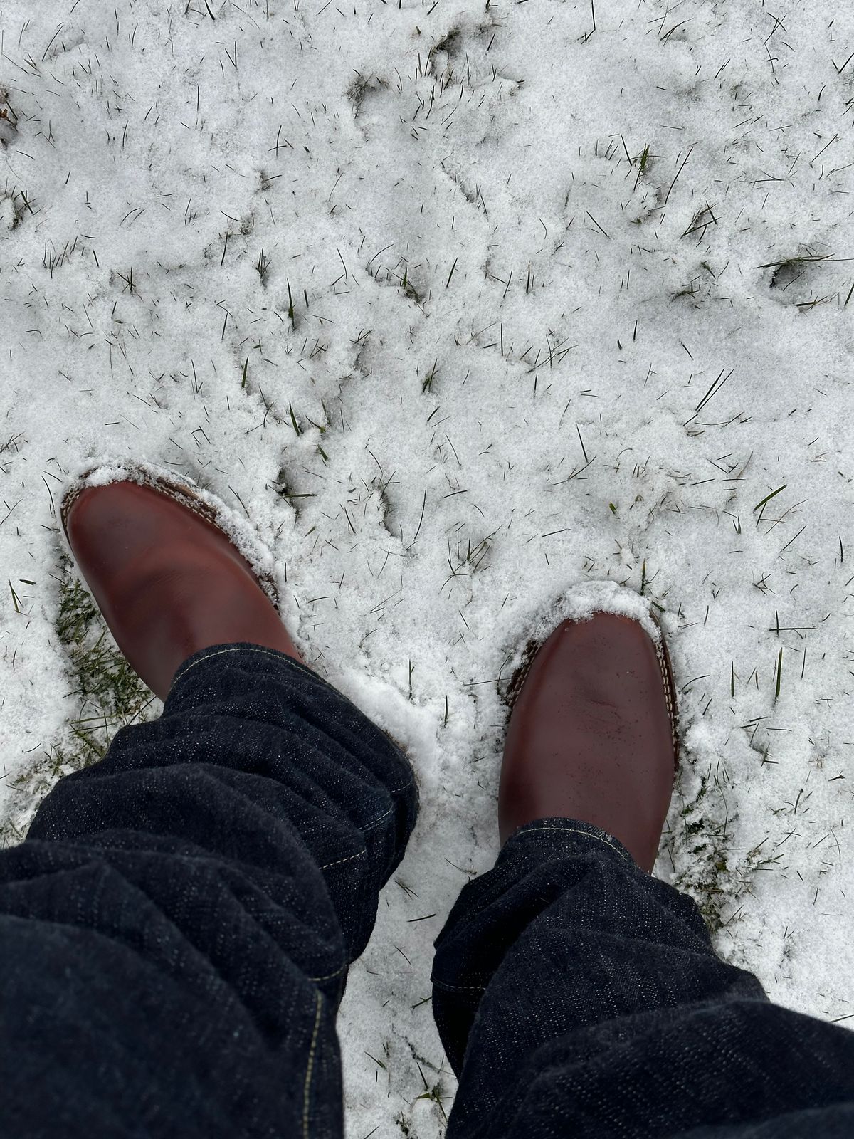 Photo by twg7 on December 20, 2022 of the Wesco Mister Lou in Horween Umber Chromexcel.