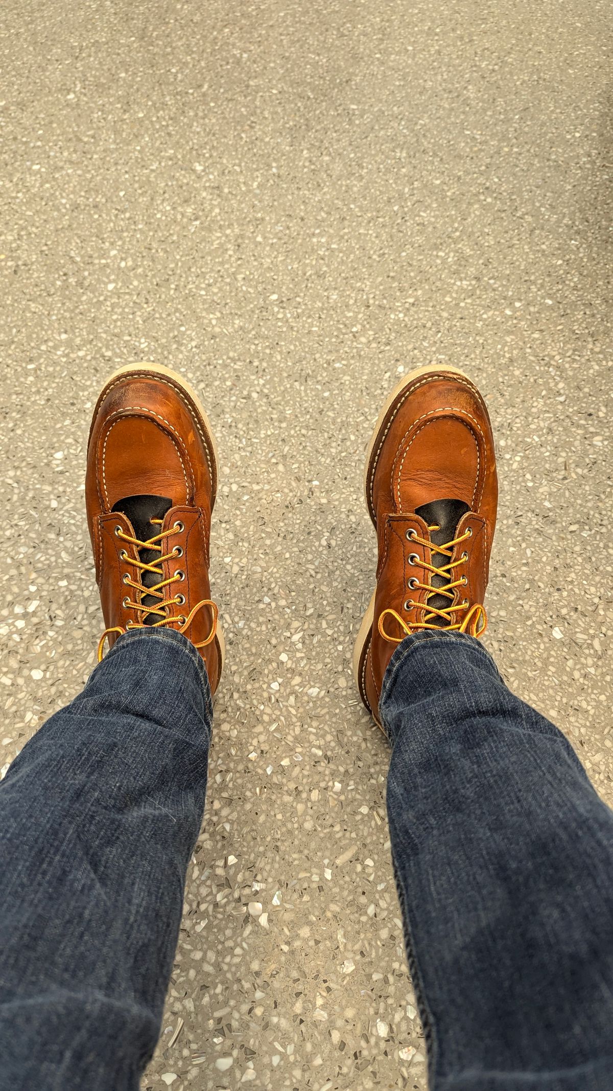 Photo by StinkyWizzleTeets14 on November 8, 2024 of the Red Wing 6-Inch Classic Moc in S.B. Foot Oro Legacy.