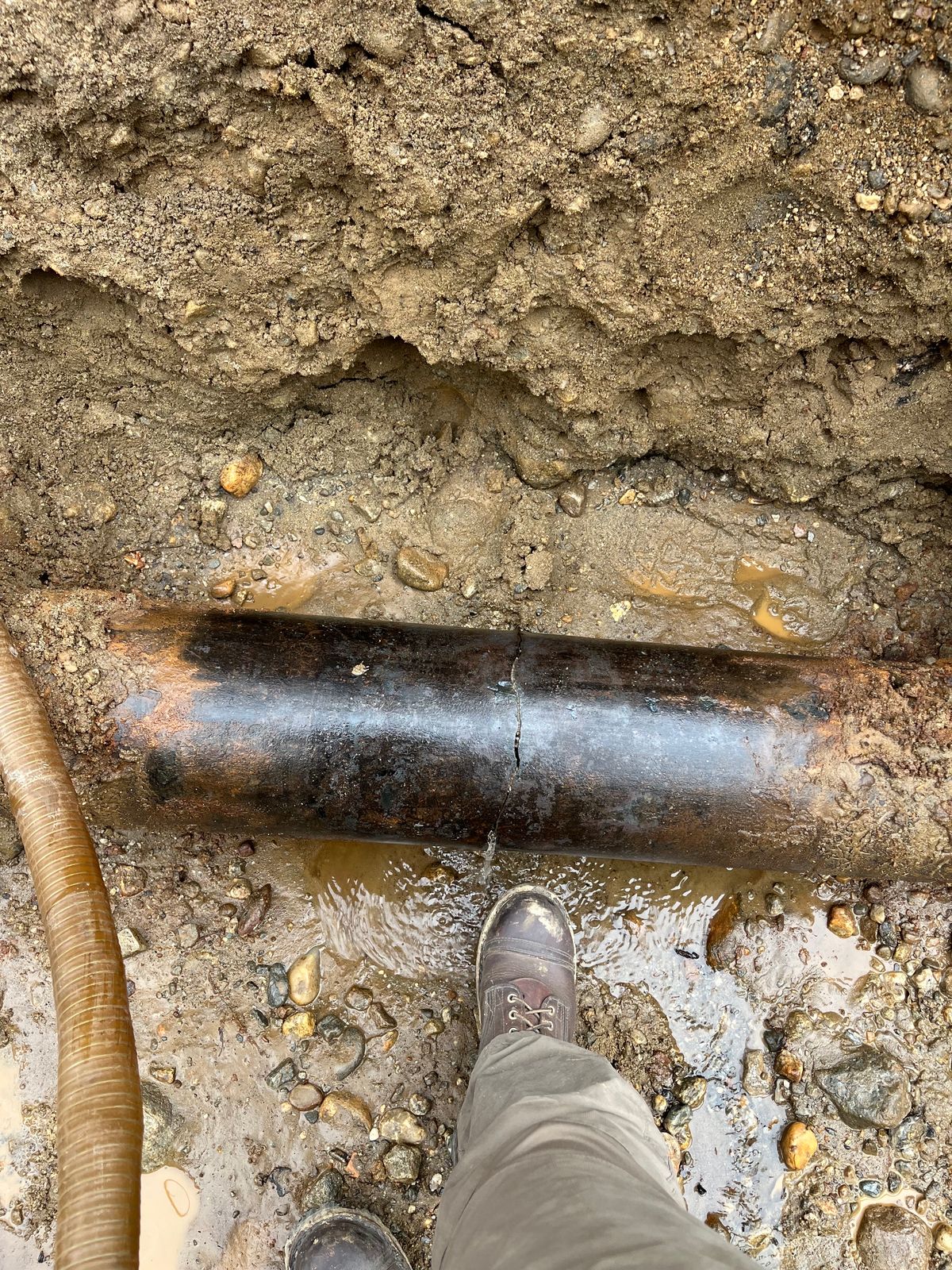 Photo by SirGilbert on December 10, 2023 of the Nicks BuilderPro in Seidel WeatherShield Brown.