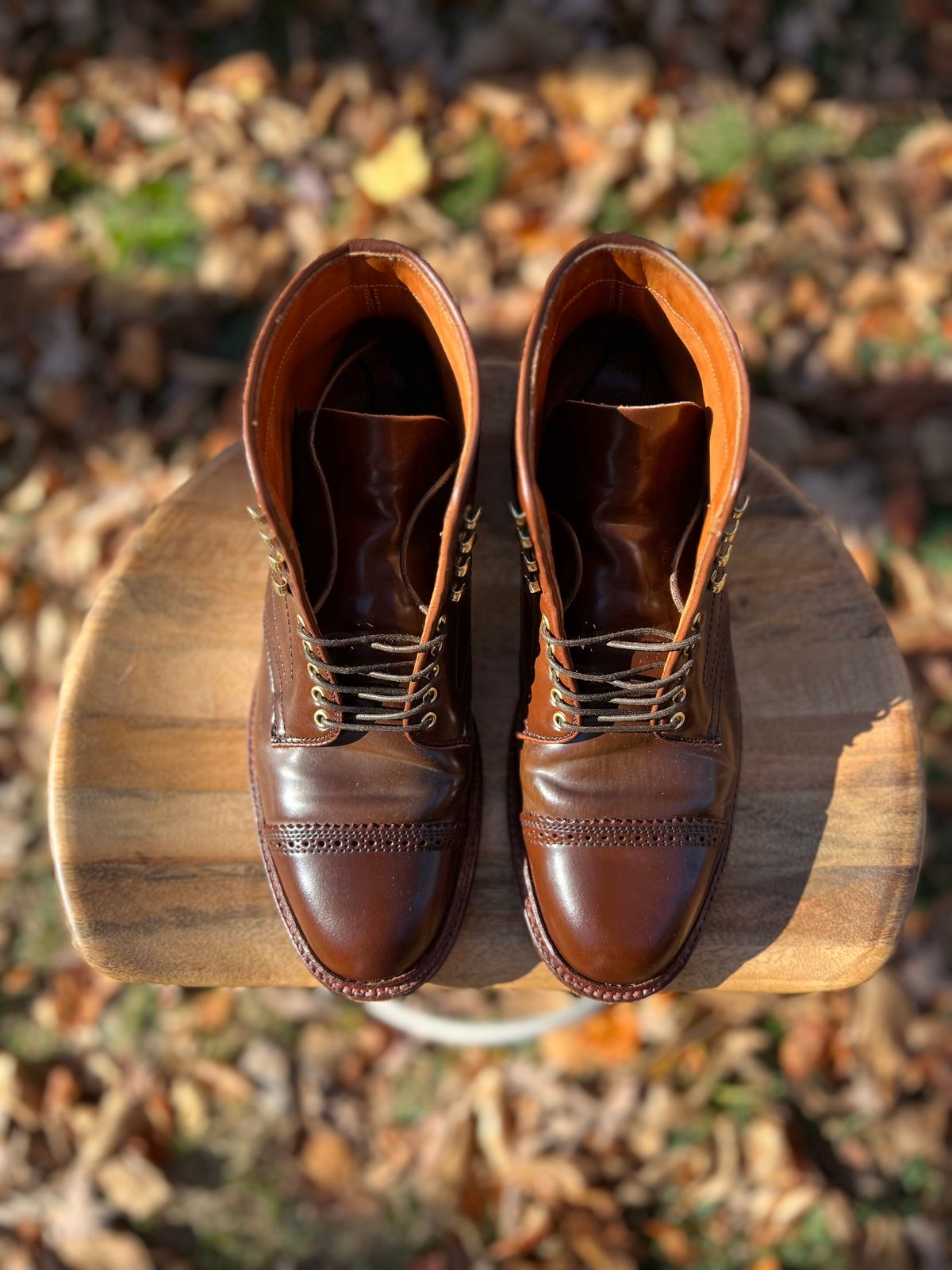 Photo by last.sole on November 9, 2022 of the Alden Perforated Cap Toe Boot in Unlisted Leather.