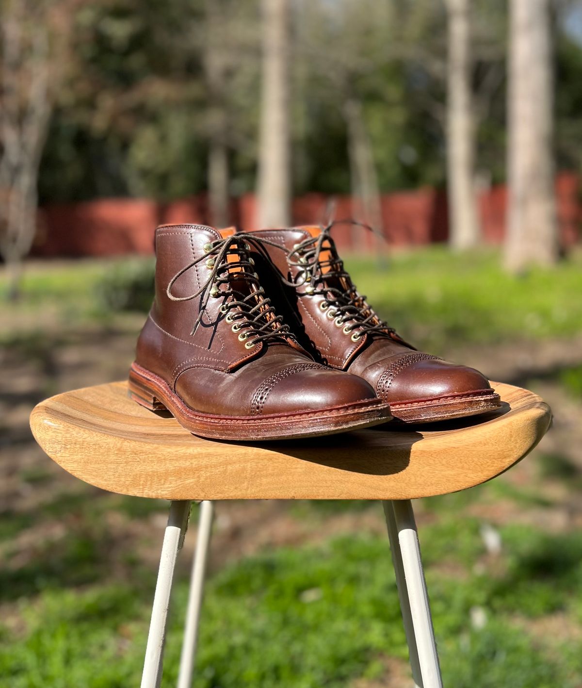 Photo by last.sole on April 3, 2023 of the Alden Perforated Cap Toe Boot in Unlisted Leather.