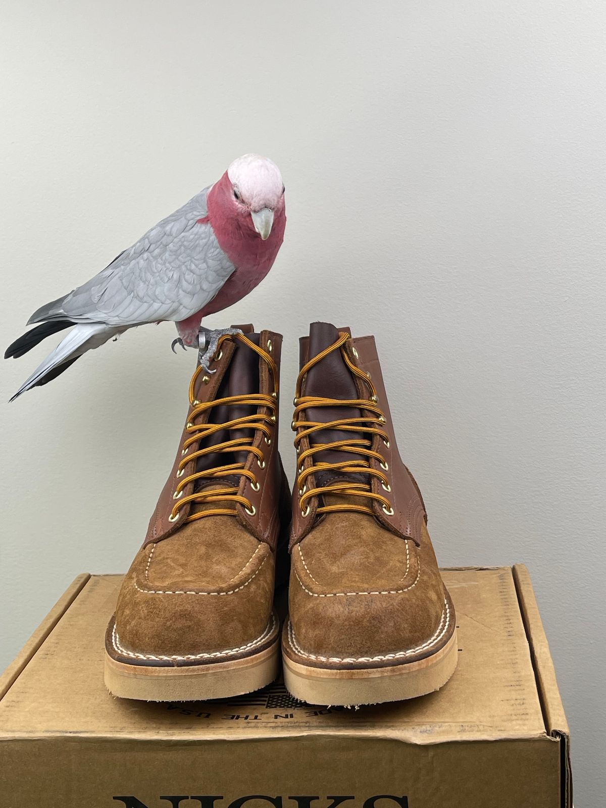 Photo by kkibbey on October 5, 2023 of the Nicks Moc Toe in Seidel 1964 Brown Roughout.