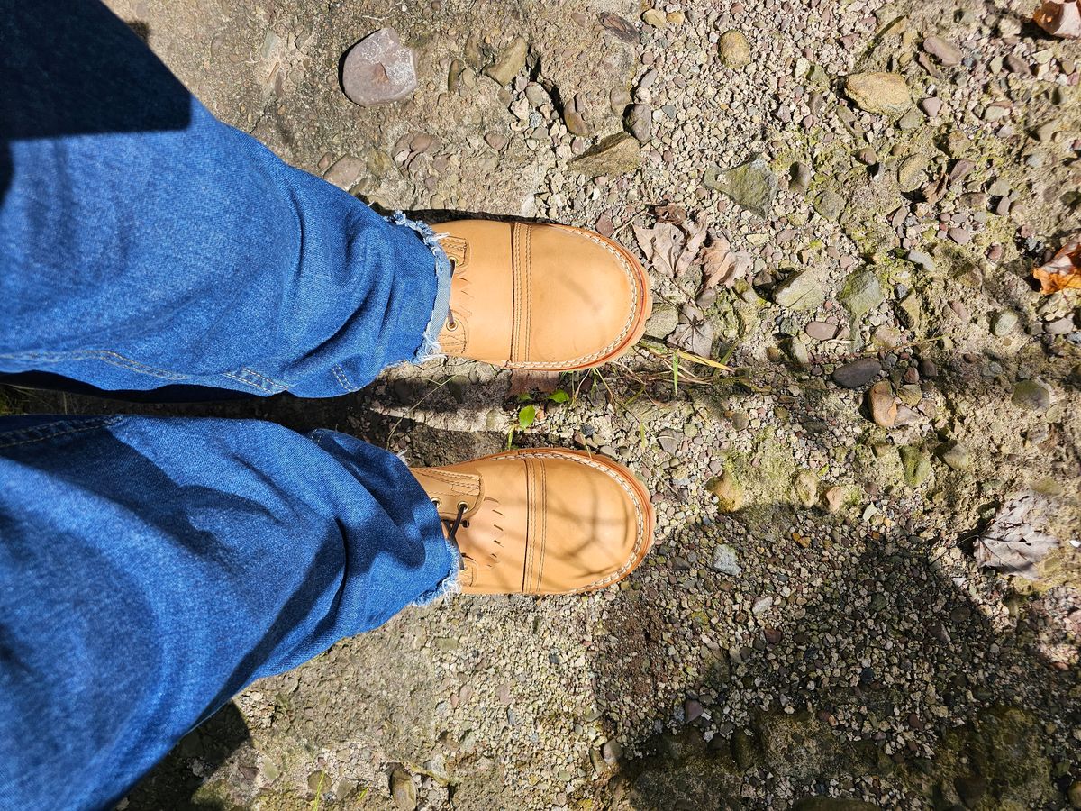 Photo by Mechanical_J on October 1, 2023 of the Nicks BuilderPro in Seidel 1964 Tan.
