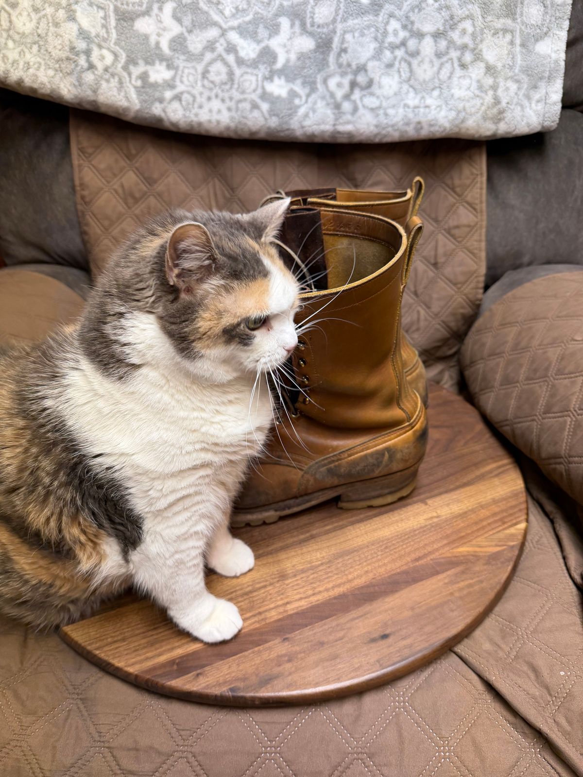 Photo by Mechanical_J on October 2, 2025 of the Nicks Builderpro HD in Spokane Honey.