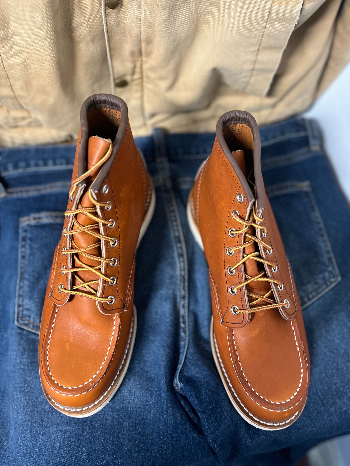 Photo by markiwang on October 3, 2023 of the Red Wing 8-Inch Classic Moc in S.B. Foot Oro Legacy.
