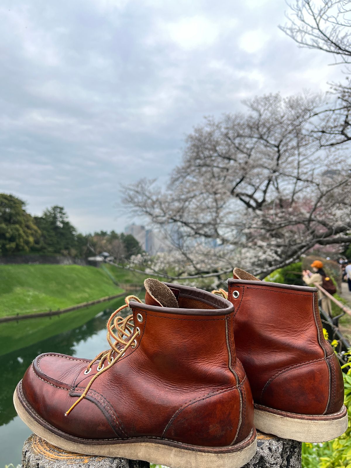 Photo by markiwang on April 5, 2024 of the Red Wing 8-Inch Classic Moc in S.B. Foot Oro Legacy.