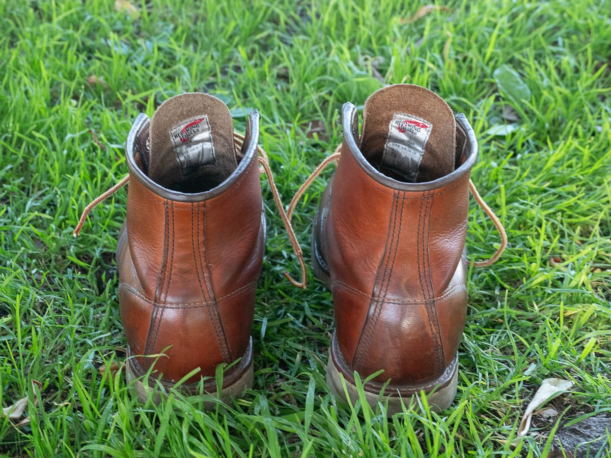Photo by markiwang on April 5, 2024 of the Red Wing 8-Inch Classic Moc in S.B. Foot Oro Legacy.