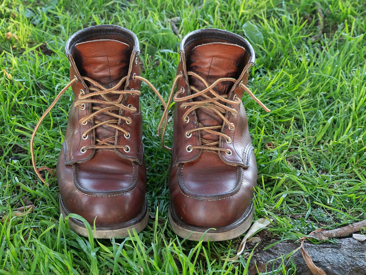 Photo by markiwang on April 5, 2024 of the Red Wing 8-Inch Classic Moc in S.B. Foot Oro Legacy.