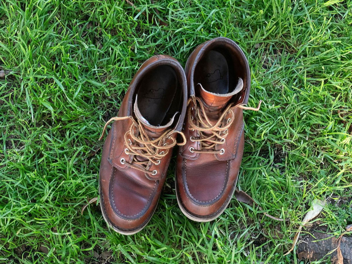 Photo by markiwang on April 5, 2024 of the Red Wing 8-Inch Classic Moc in S.B. Foot Oro Legacy.