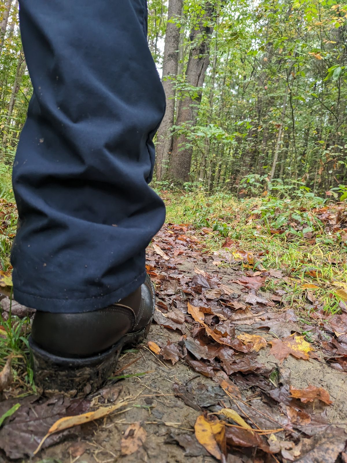 Photo by drunkishly on October 2, 2024 of the Nicks MTO in Horween Black Waxed Flesh.