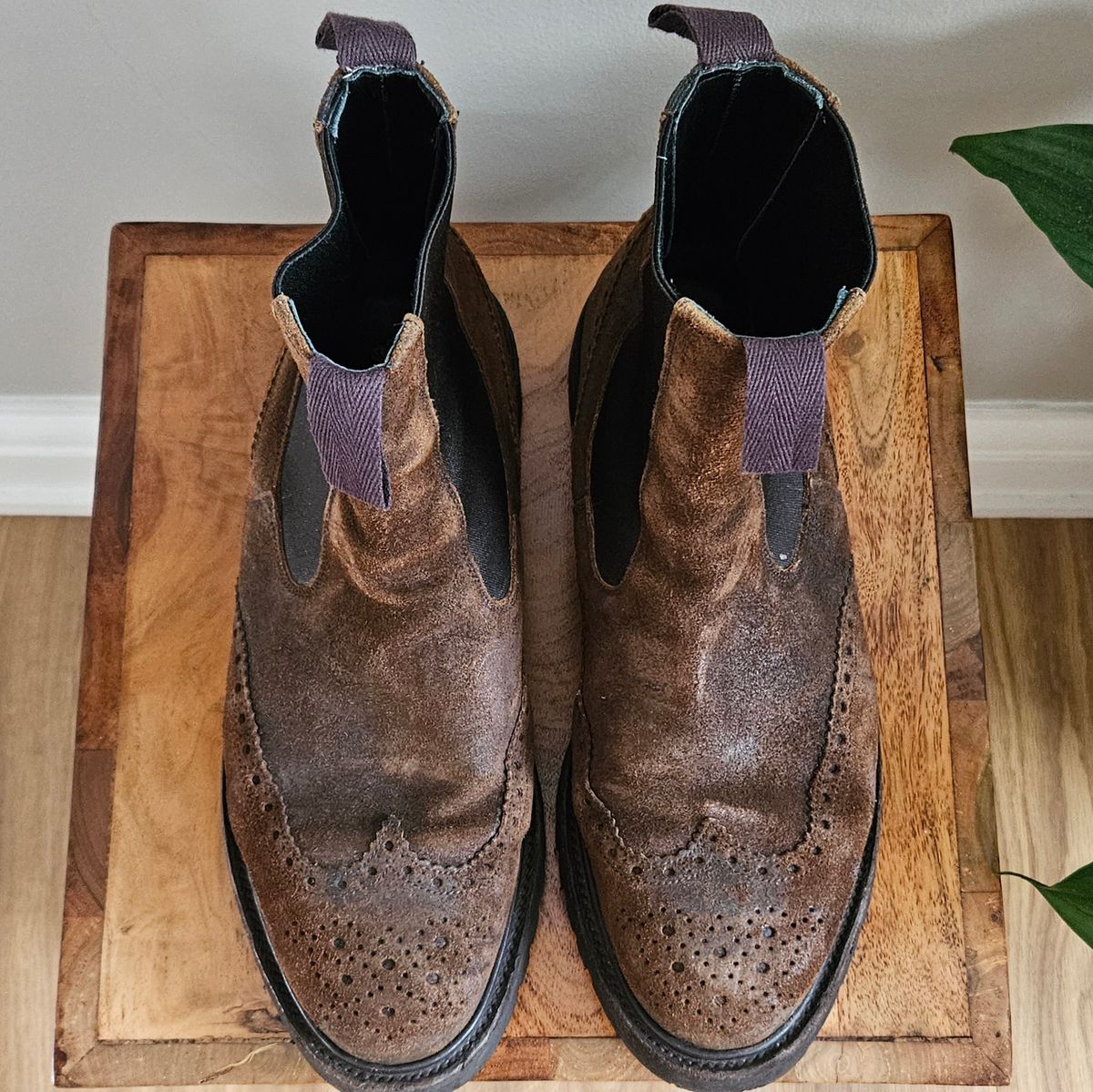 Photo by kudusole on January 3, 2024 of the Tricker's Henry Country Dealer Boot in C.F. Stead Snuff Waxed Suede.