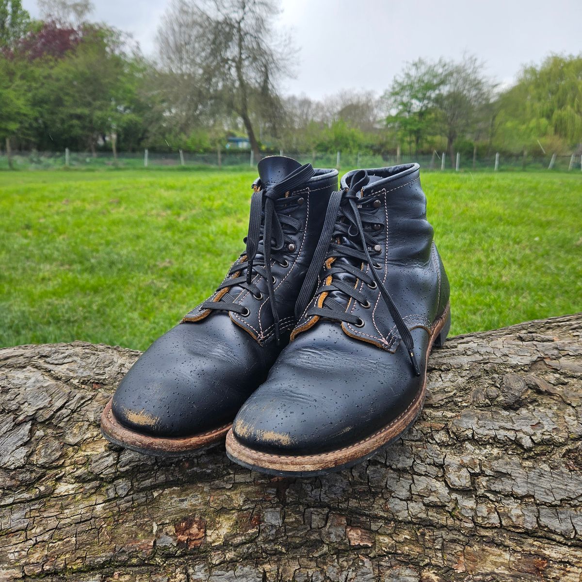 Photo by kudusole on April 2, 2024 of the Red Wing Beckman Flatbox in S.B. Foot Black Klondike.