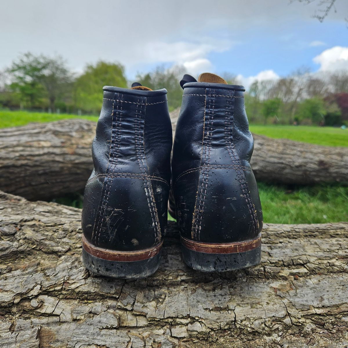 Photo by kudusole on April 2, 2024 of the Red Wing Beckman Flatbox in S.B. Foot Black Klondike.