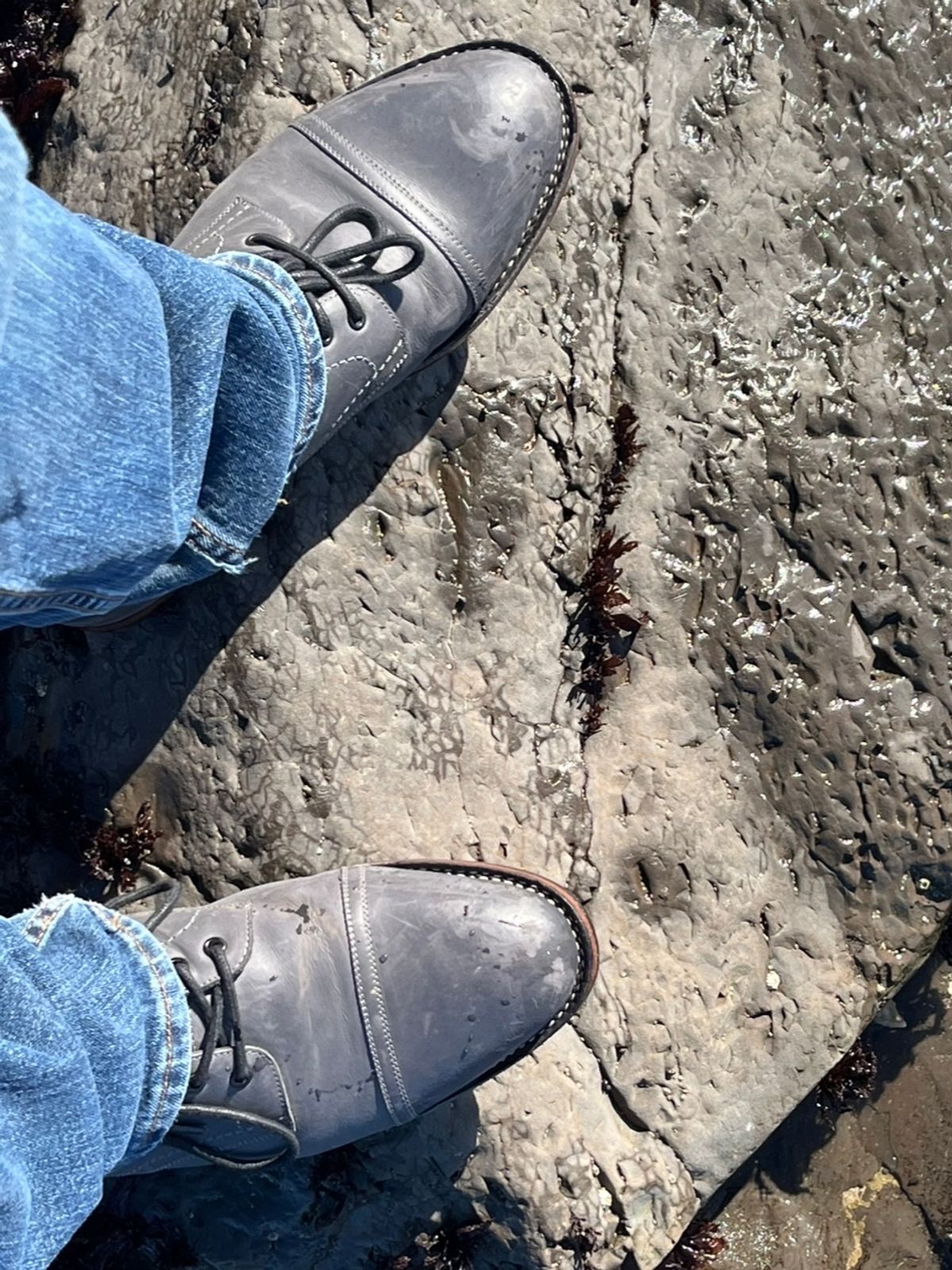 Photo by leviathan on February 5, 2024 of the Blkbrd Shoemaker Luchador Service Boot in Unknown Leather.