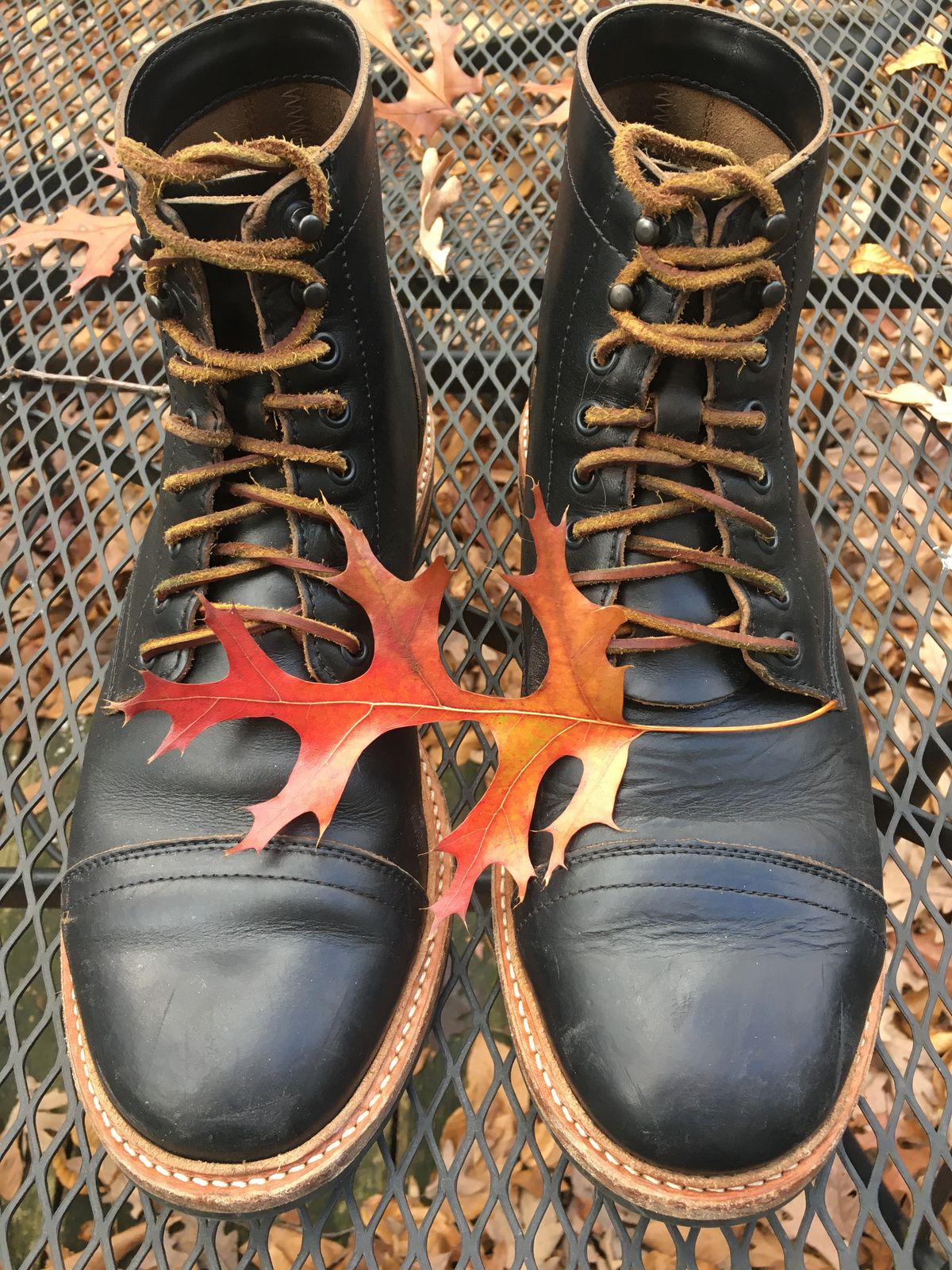 Photo by RustyKeystone on November 14, 2022 of the Oak Street Bootmakers Trench Boot in Horween Black Chromexcel.
