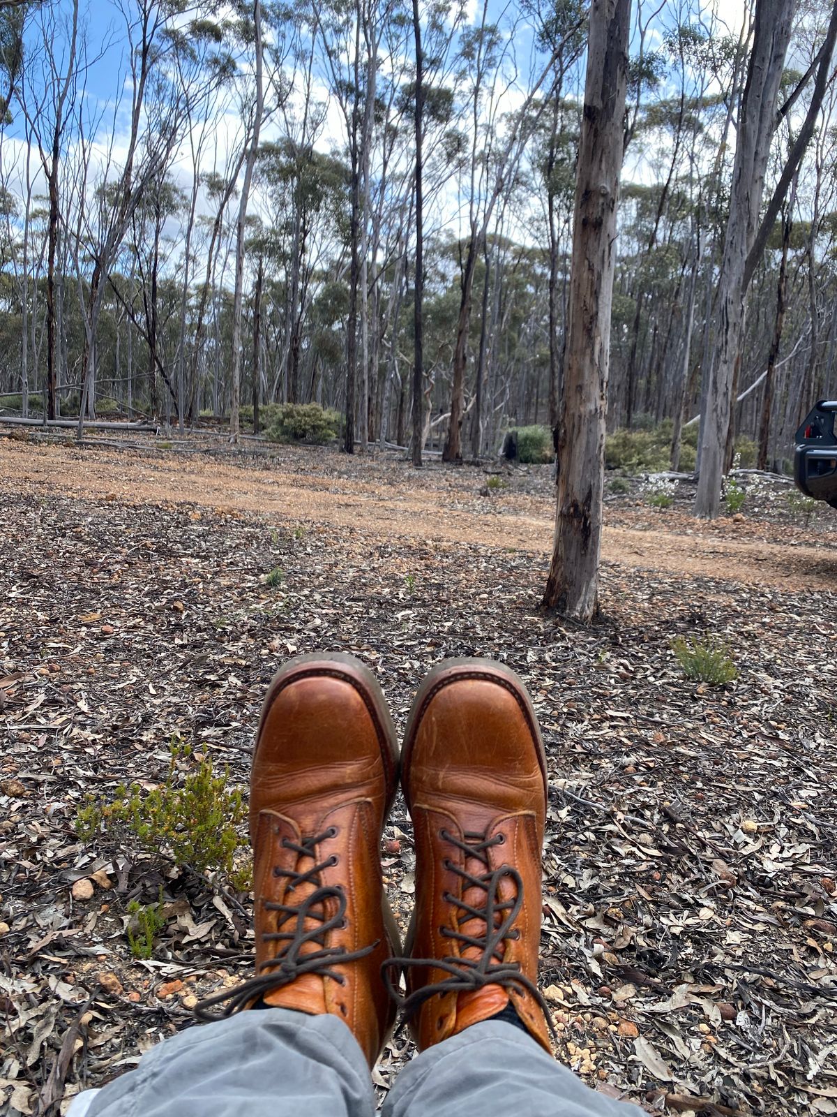 Photo by Chickenman on November 4, 2022 of the Anastazi Service Boot in Whiskey Veg-Tanned Calfskin.