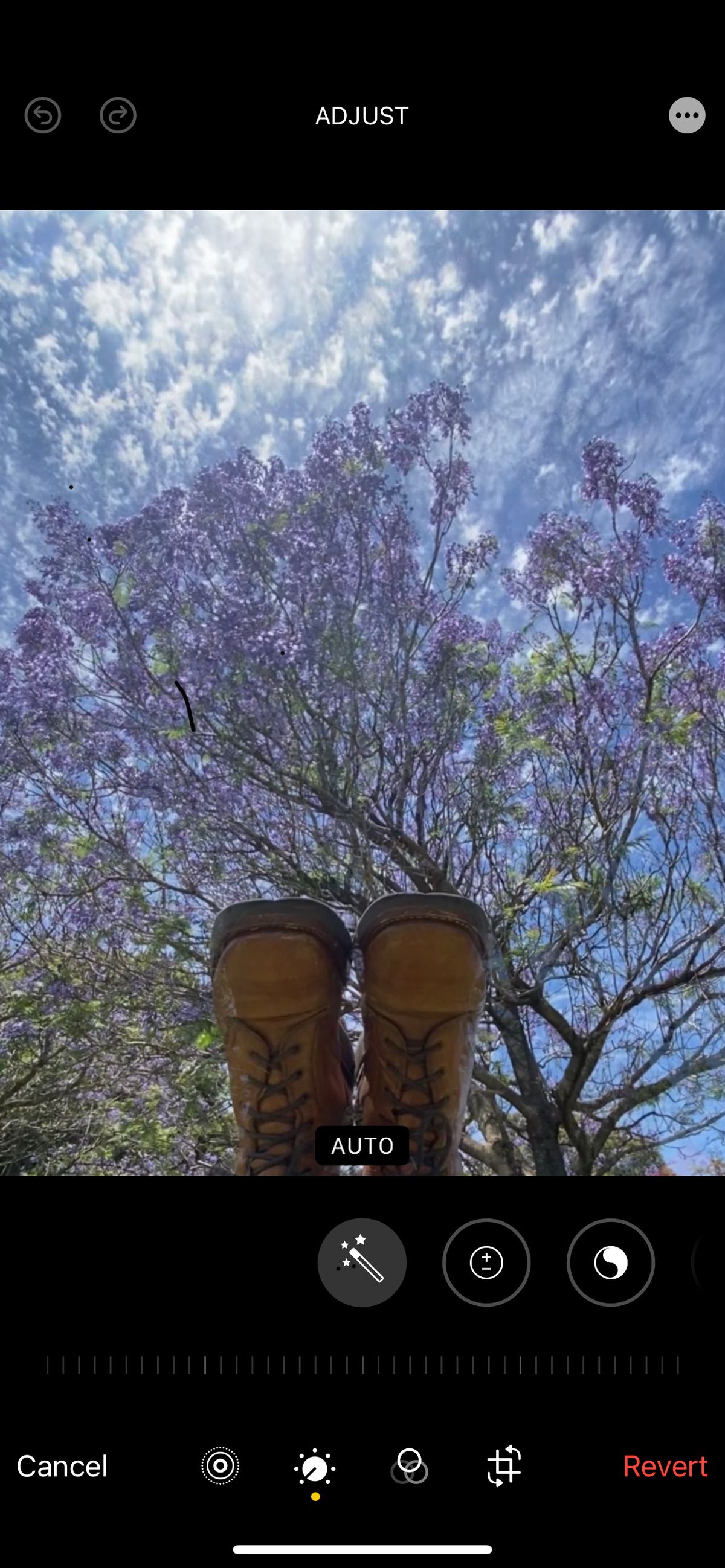 Photo by Chickenman on November 29, 2022 of the Anastazi Service Boot in Whiskey Veg-Tanned Calfskin.