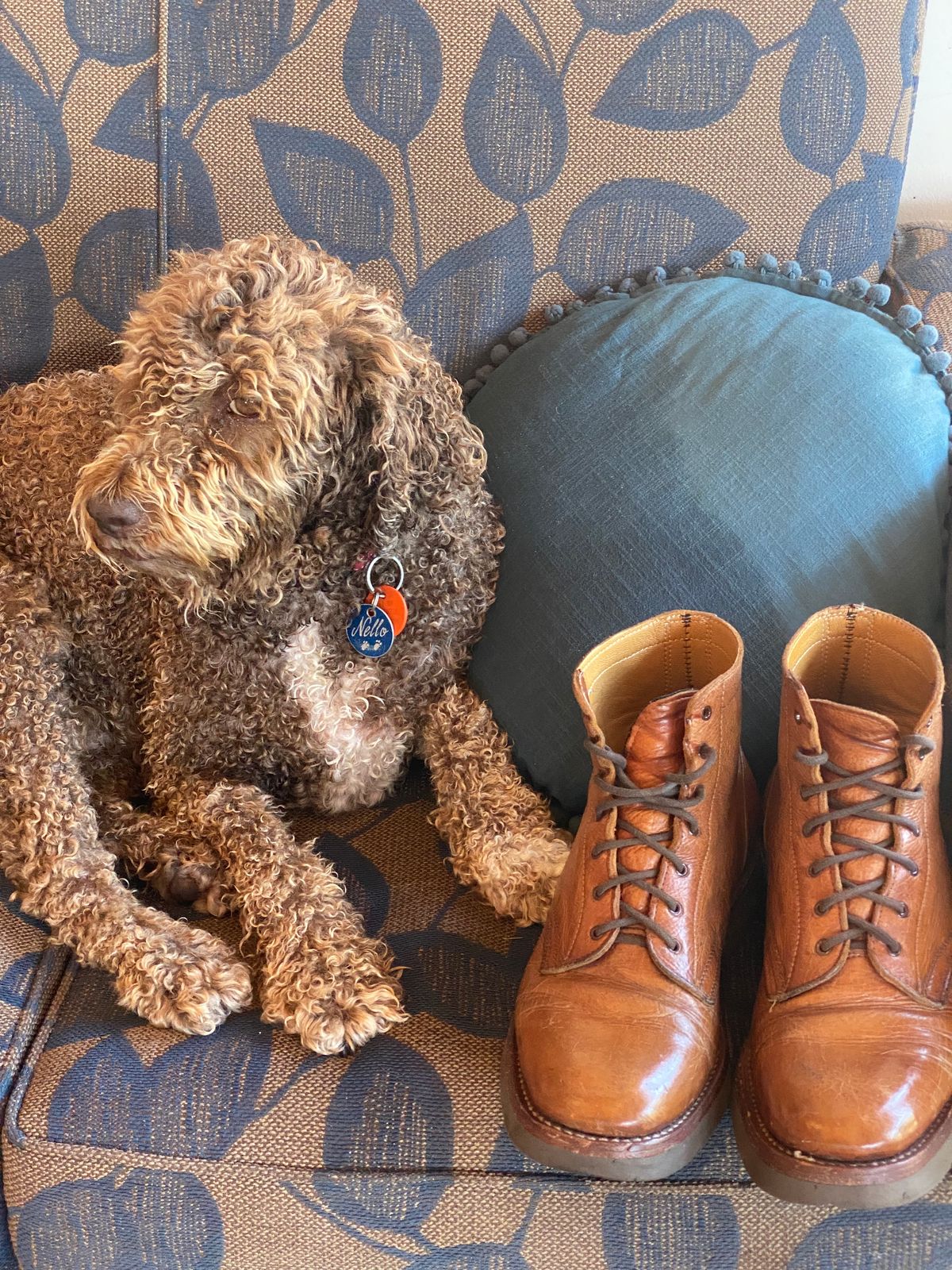 Photo by Chickenman on January 4, 2023 of the Anastazi Service Boot in Whiskey Veg-Tanned Calfskin.
