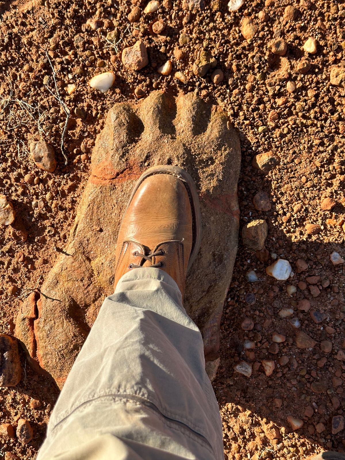 Photo by Chickenman on March 12, 2023 of the Anastazi Service Boot in Whiskey Veg-Tanned Calfskin.