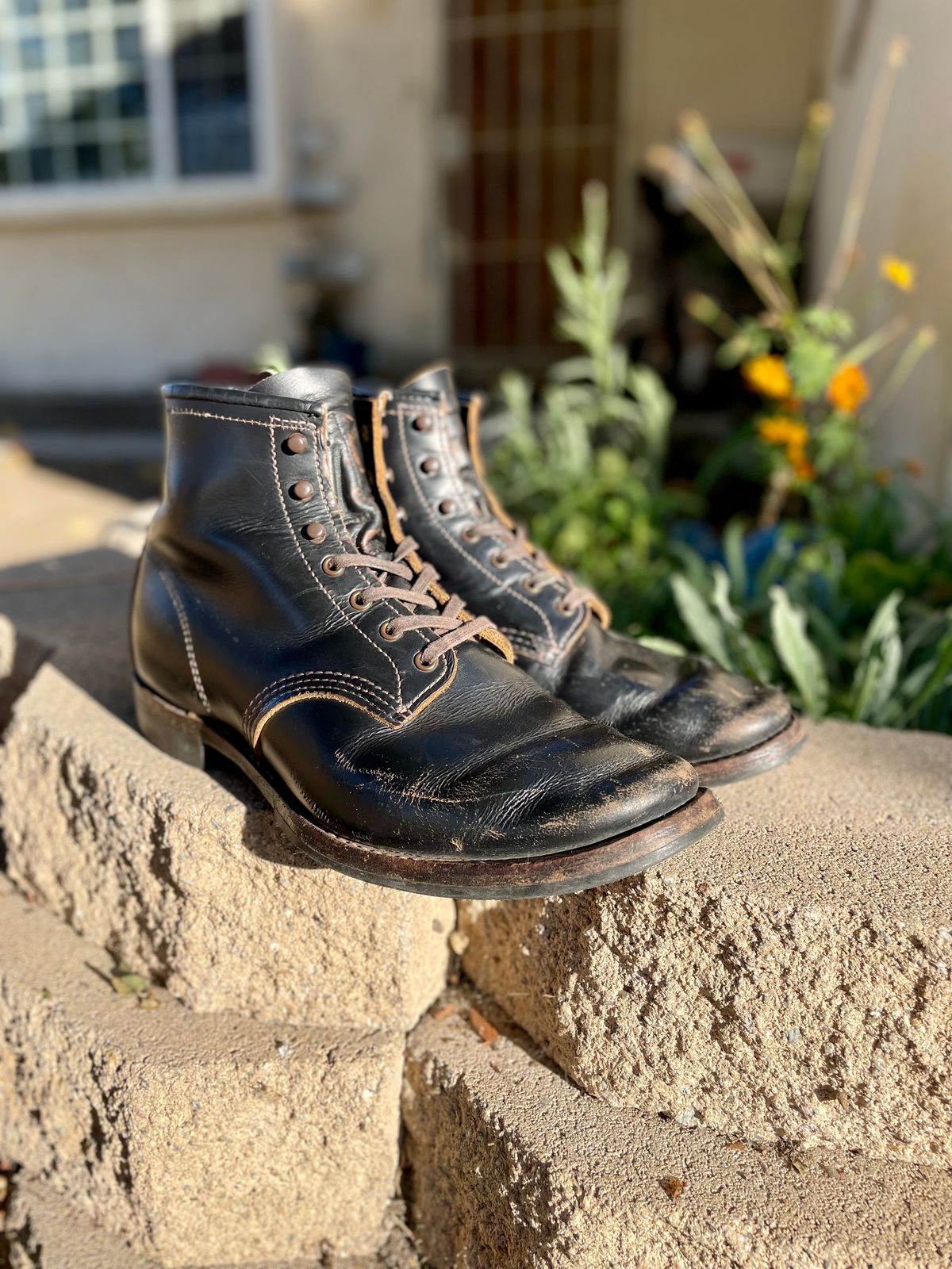 Photo by Ender on December 4, 2023 of the Red Wing Beckman Flatbox in S.B. Foot Black Klondike.