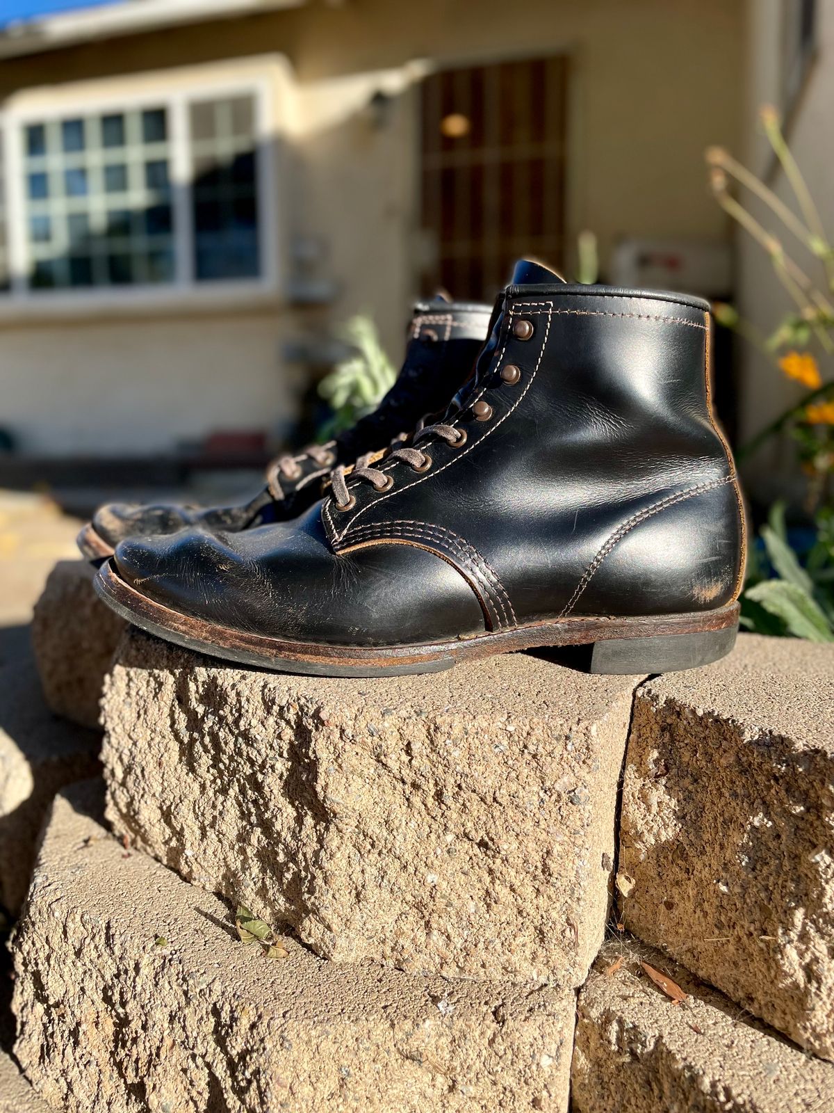 Photo by Ender on December 4, 2023 of the Red Wing Beckman Flatbox in S.B. Foot Black Klondike.