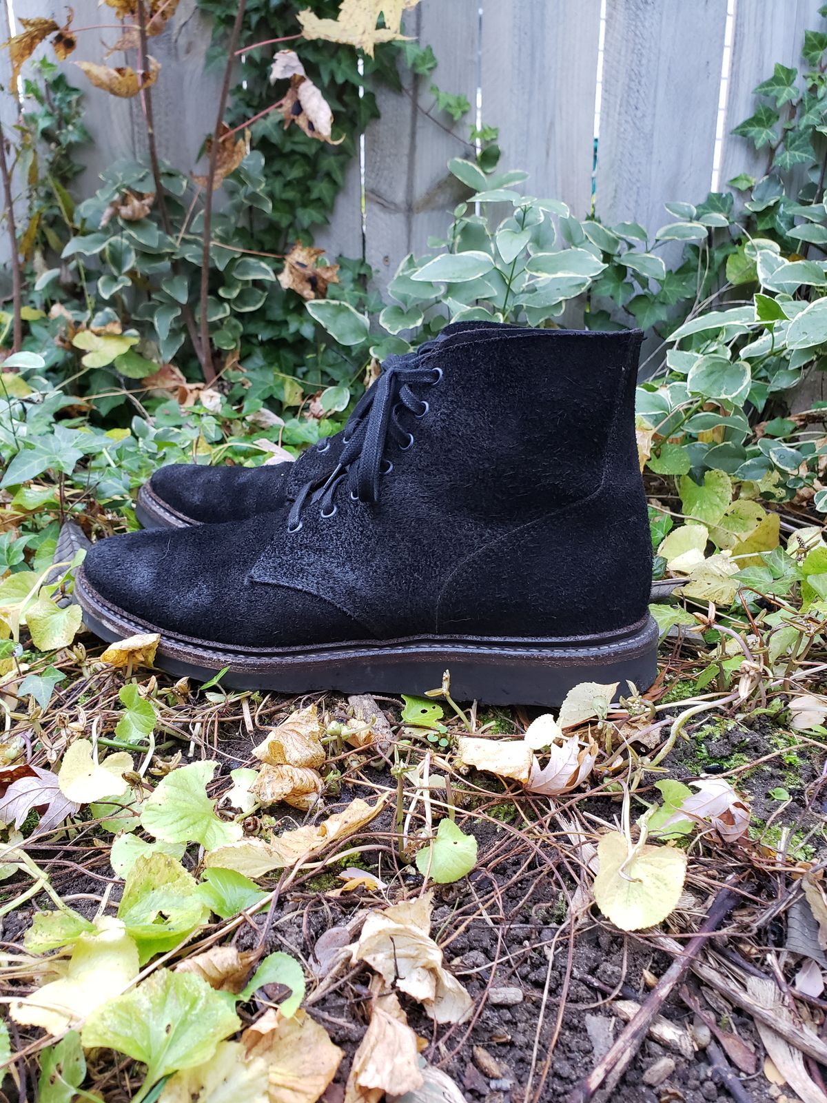 Photo by SneakyTurtle on November 1, 2022 of the Oak Street Bootmakers Field Boot in Seidel Black Oiled Congo Shrunken Bison Roughout.