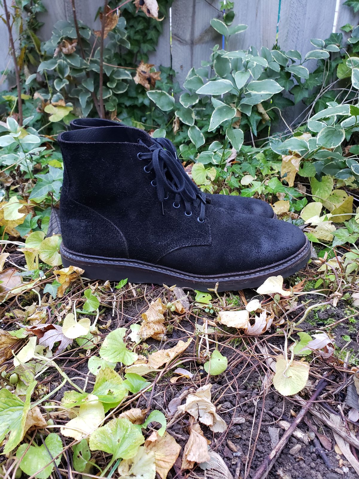 Photo by SneakyTurtle on November 1, 2022 of the Oak Street Bootmakers Field Boot in Seidel Black Oiled Congo Shrunken Bison Roughout.