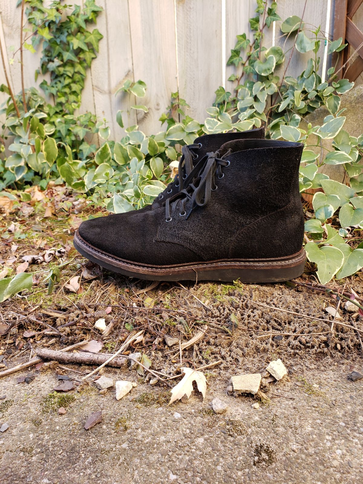 Photo by SneakyTurtle on December 1, 2022 of the Oak Street Bootmakers Field Boot in Seidel Black Oiled Congo Shrunken Bison Roughout.