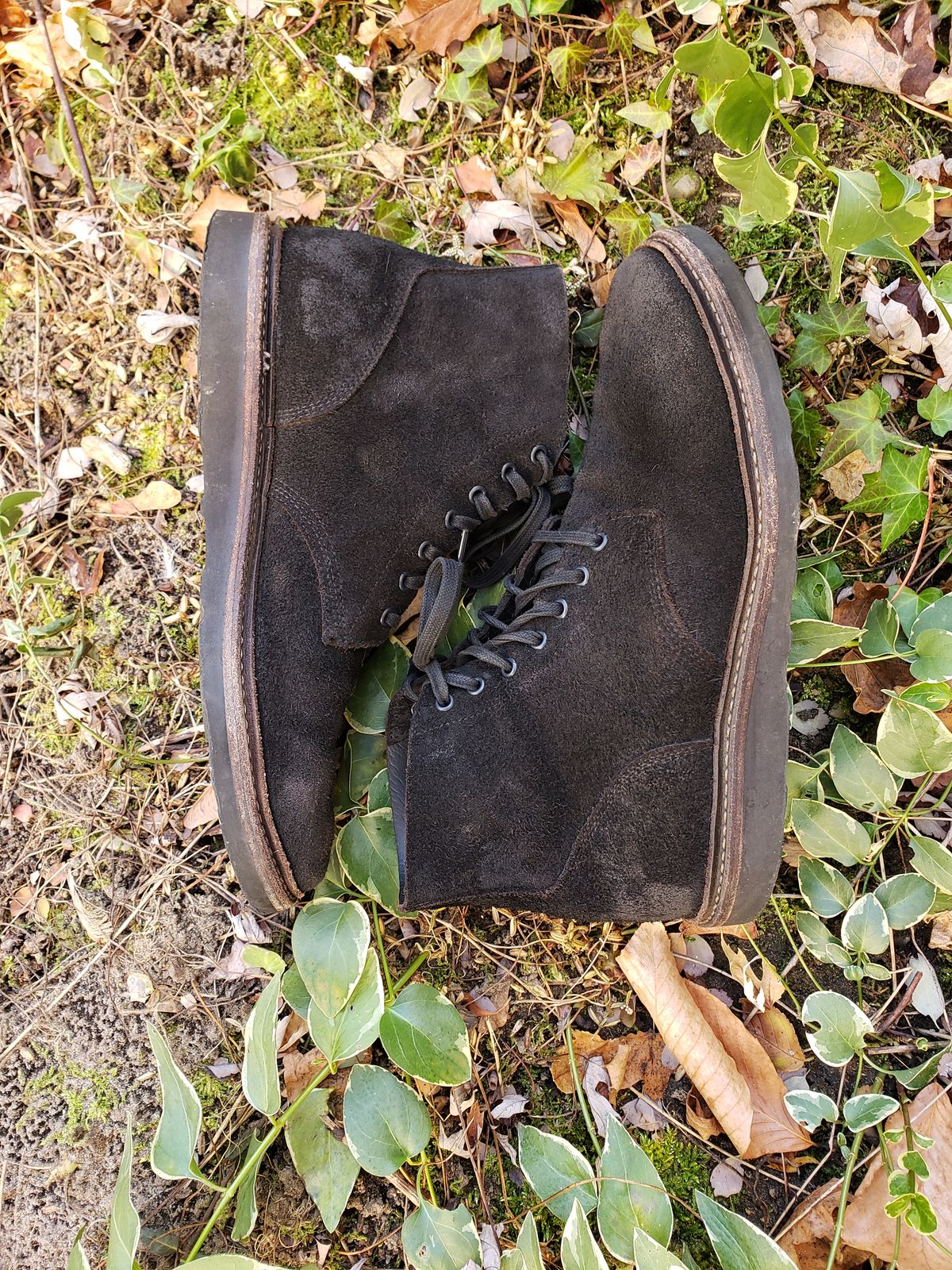 Photo by SneakyTurtle on December 1, 2022 of the Oak Street Bootmakers Field Boot in Seidel Black Oiled Congo Shrunken Bison Roughout.