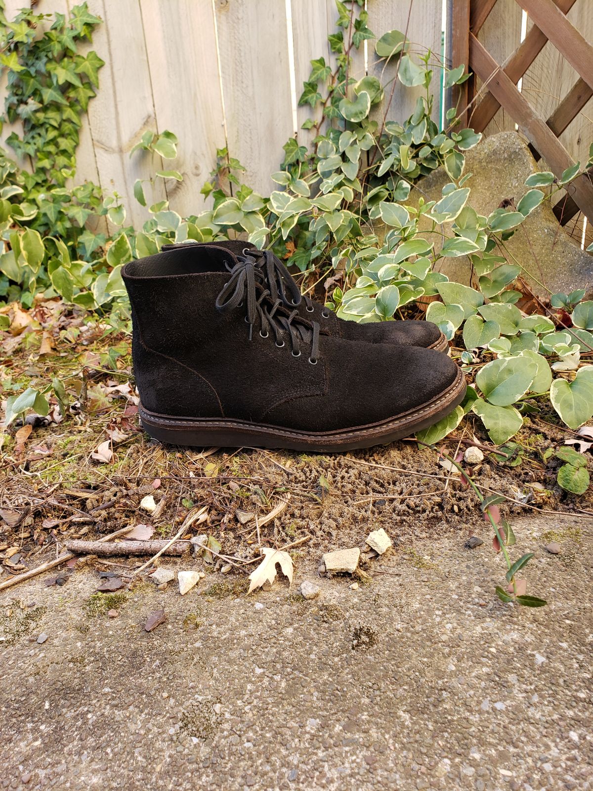 Photo by SneakyTurtle on December 1, 2022 of the Oak Street Bootmakers Field Boot in Seidel Black Oiled Congo Shrunken Bison Roughout.