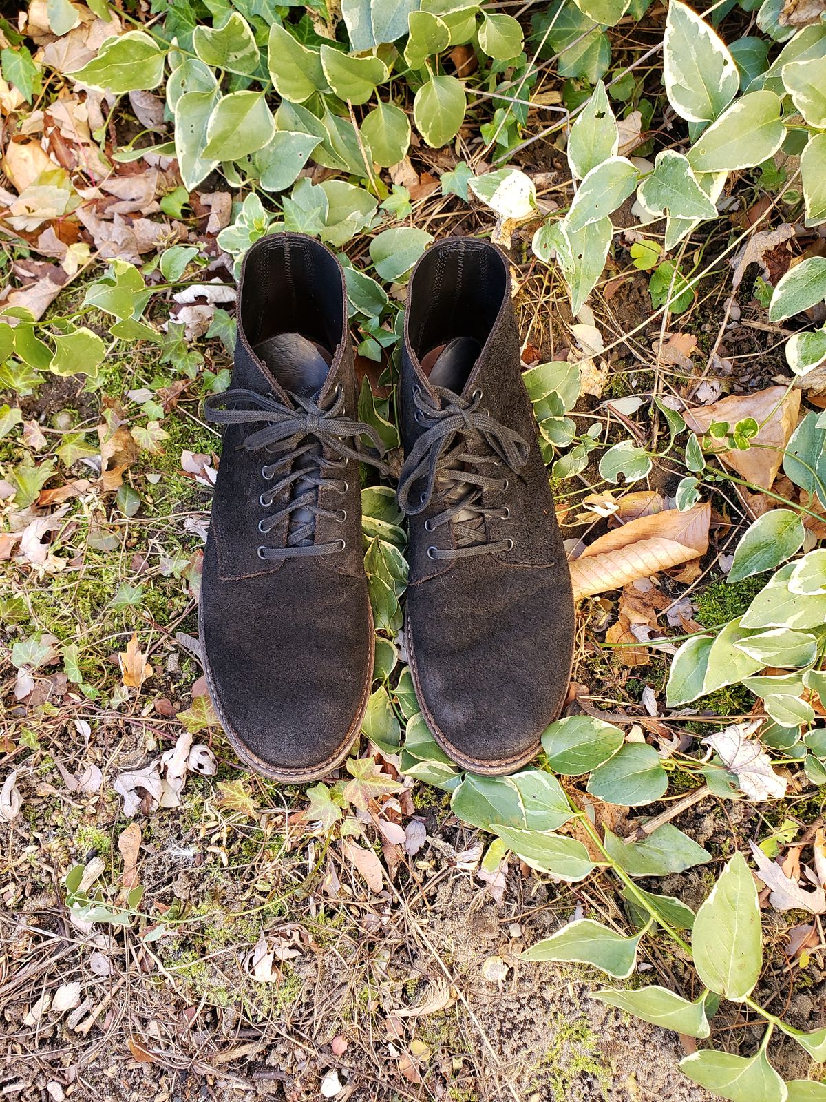 Photo by SneakyTurtle on December 1, 2022 of the Oak Street Bootmakers Field Boot in Seidel Black Oiled Congo Shrunken Bison Roughout.