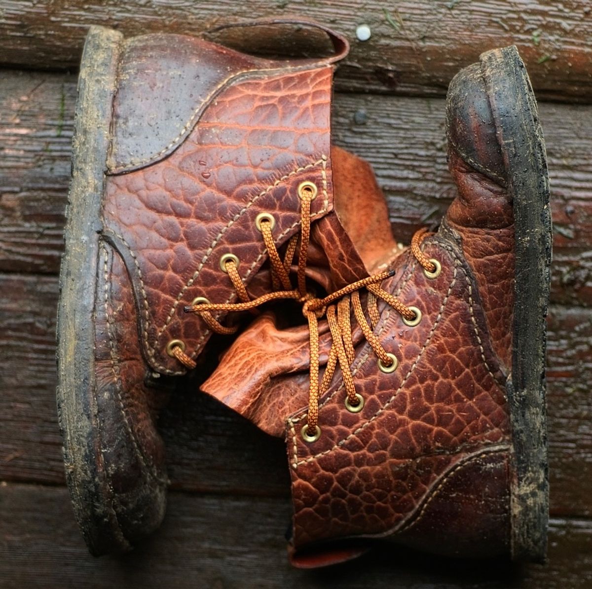Photo by broadwinger on December 5, 2023 of the Broadwinger Luxury Work Slipper in shrunken bison.
