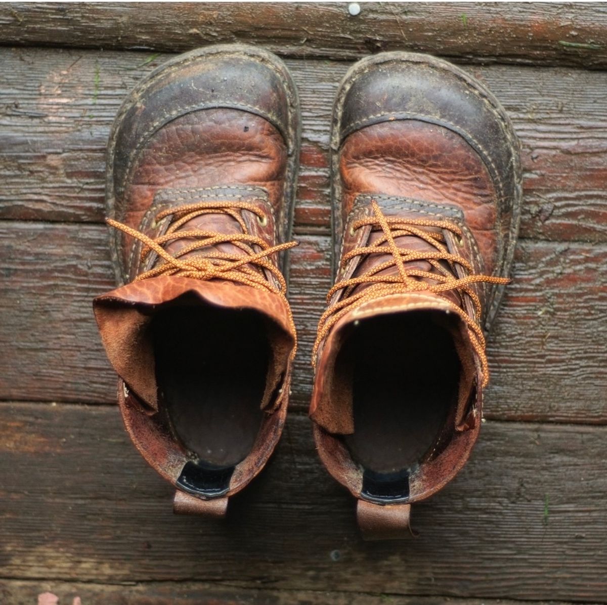 Photo by broadwinger on December 5, 2023 of the Broadwinger Luxury Work Slipper in shrunken bison.