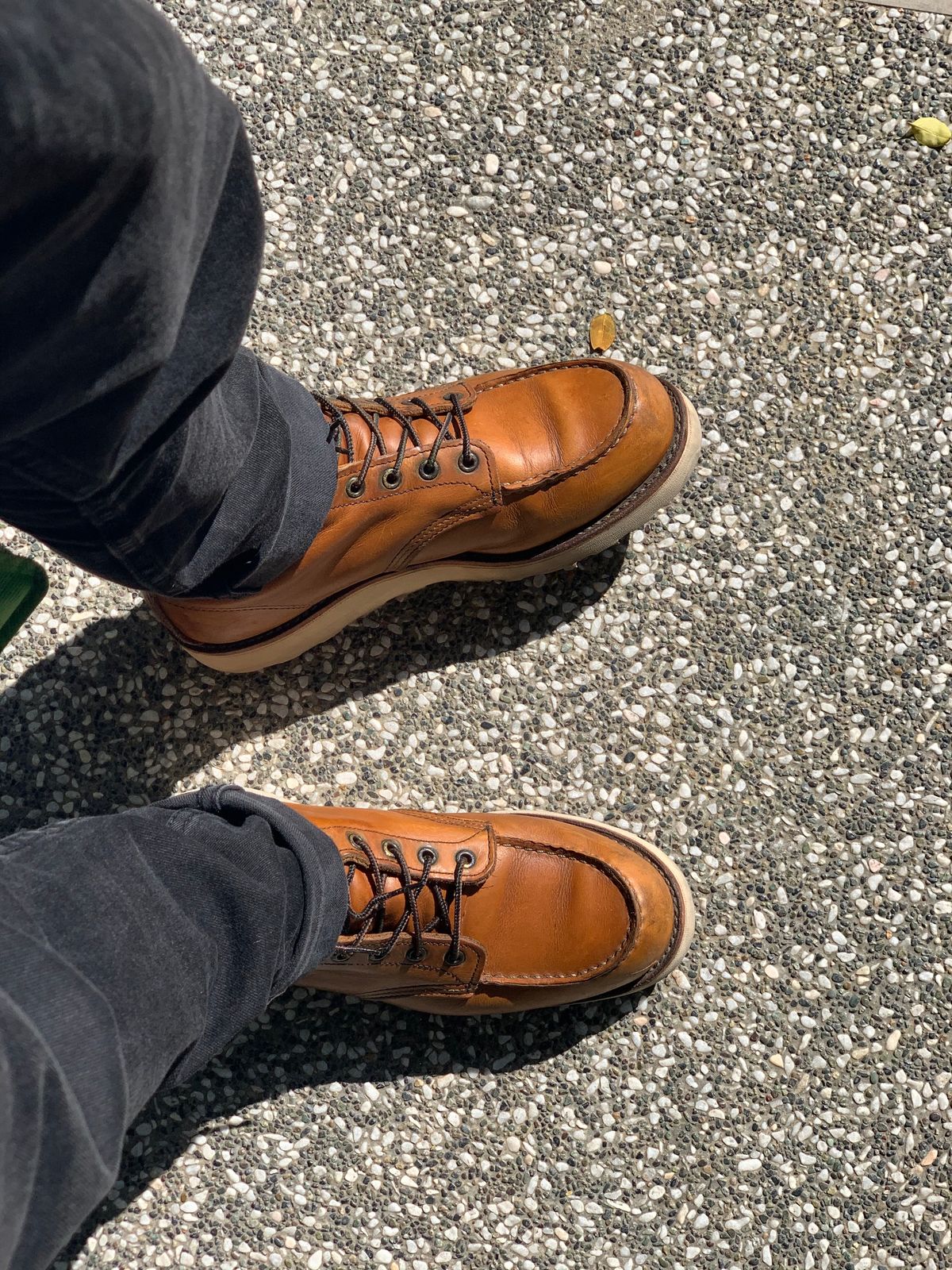 Photo by TY on February 20, 2021 of the Red Wing 6-Inch Classic Moc in S.B. Foot Oro-Iginal.