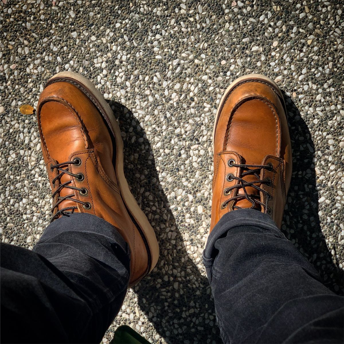 Photo by TY on February 20, 2021 of the Red Wing 6-Inch Classic Moc in S.B. Foot Oro-Iginal.