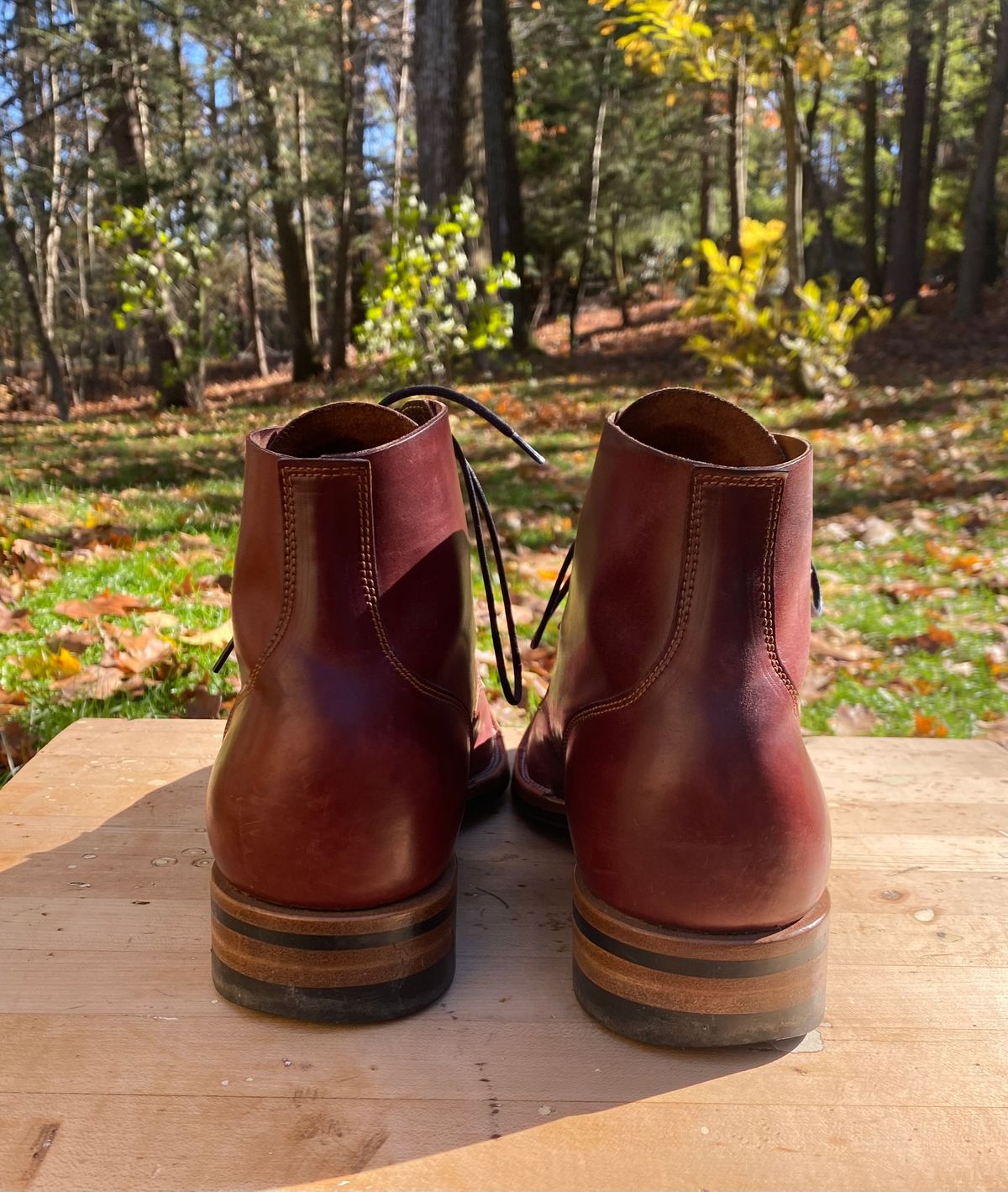 Photo by AgEcho on November 1, 2025 of the Iron Boots Devil Dog in Maryam Ruggine Shell Cordovan.